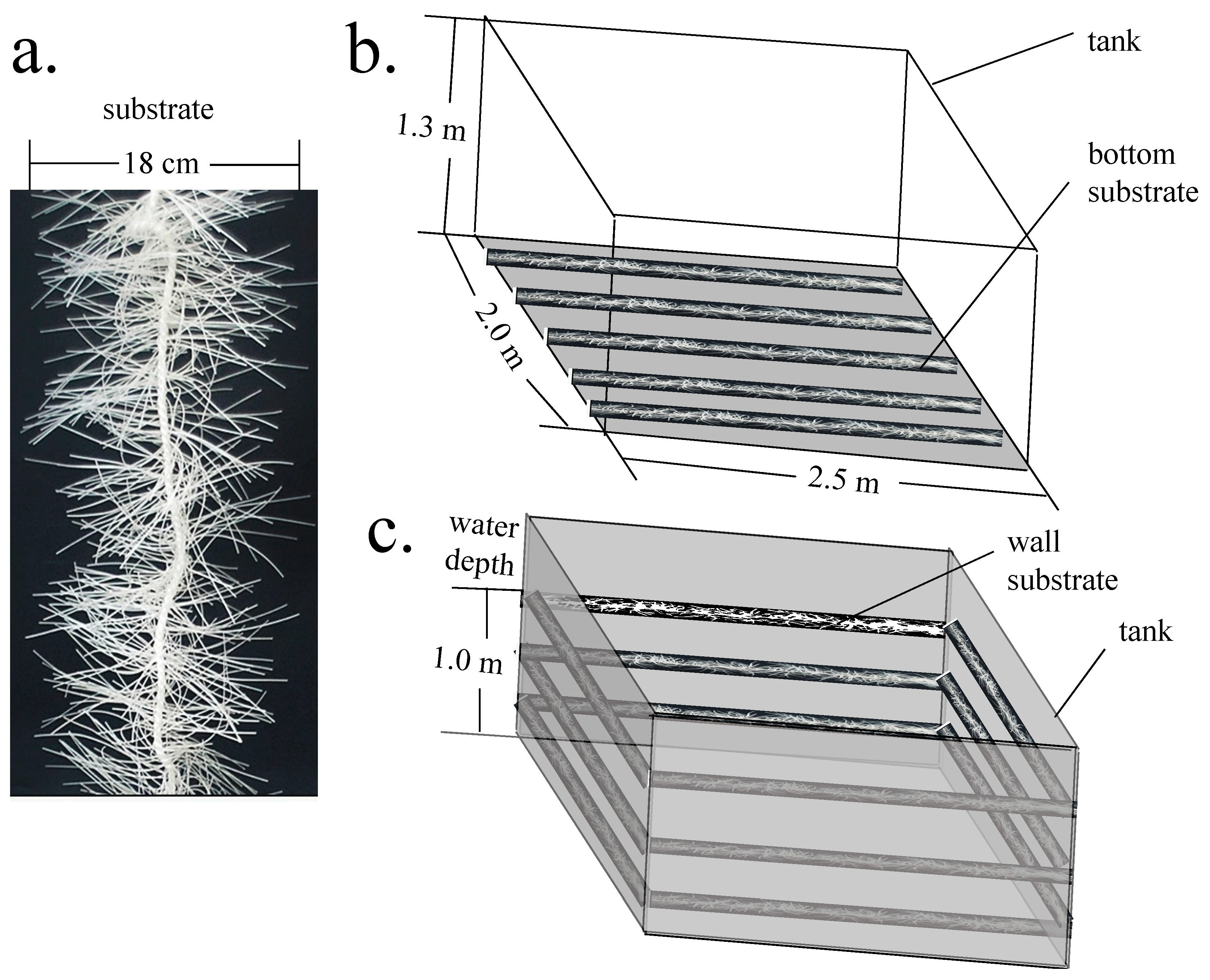 Fishes 10 00626 g001 Fishes 10 00626 g001