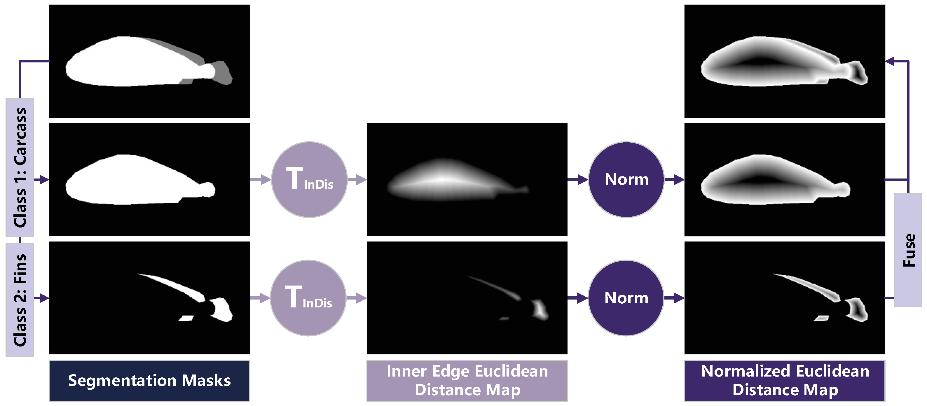 Fishes 10 00627 g004 Fishes 10 00627 g004