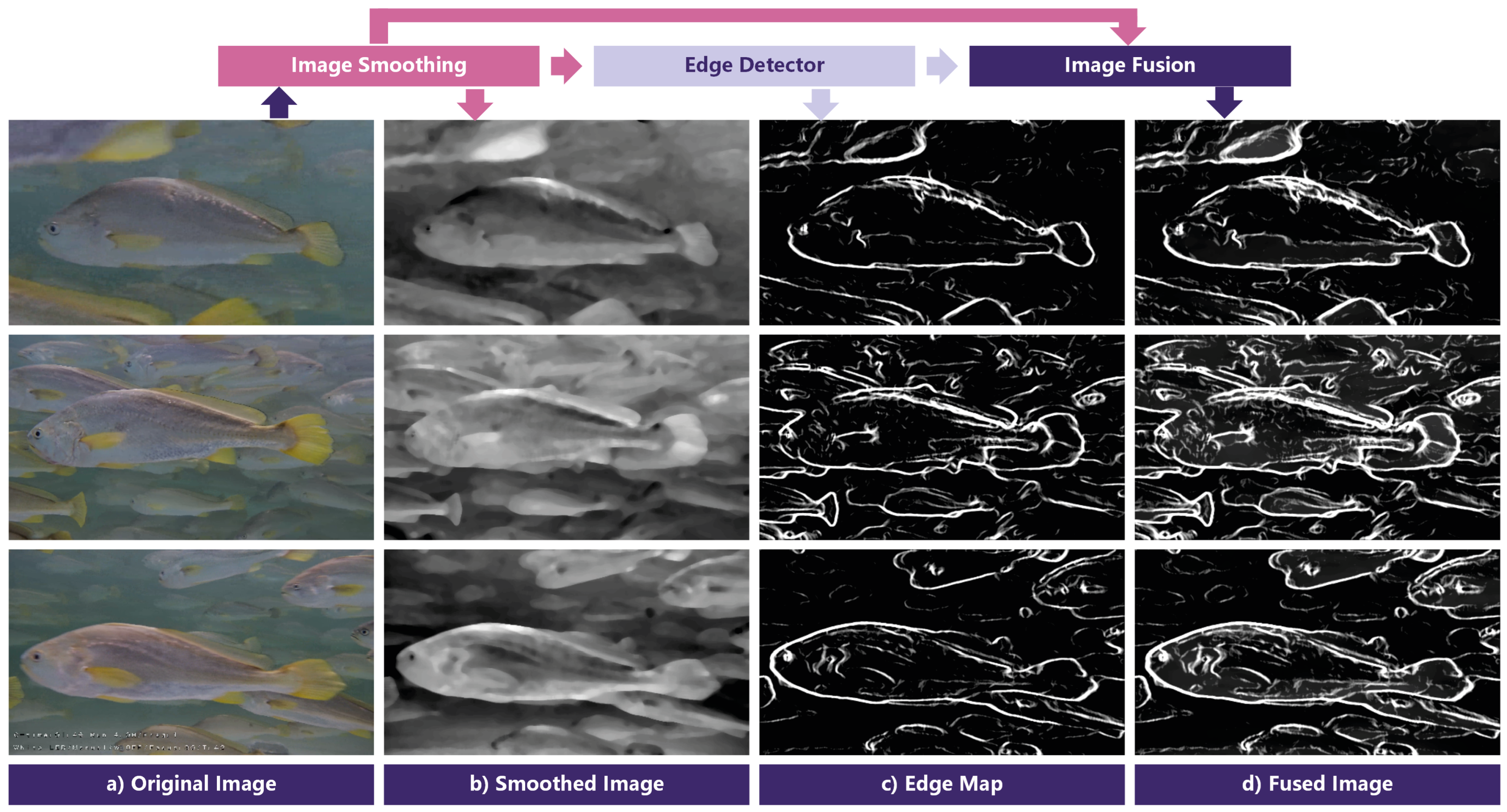 Fishes 10 00627 g005 Fishes 10 00627 g005