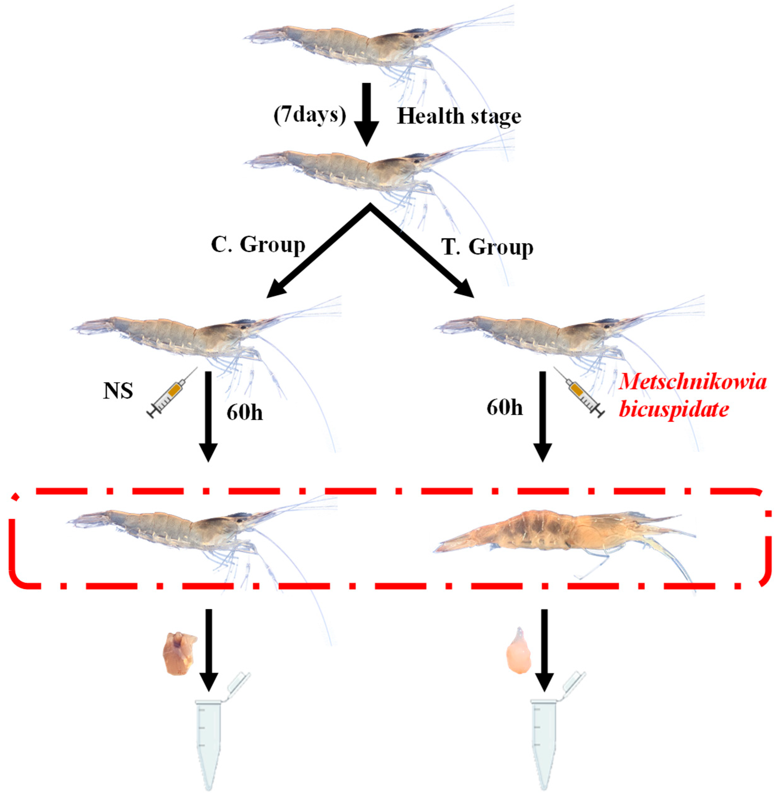 Fishes 10 00628 g001 Fishes 10 00628 g001