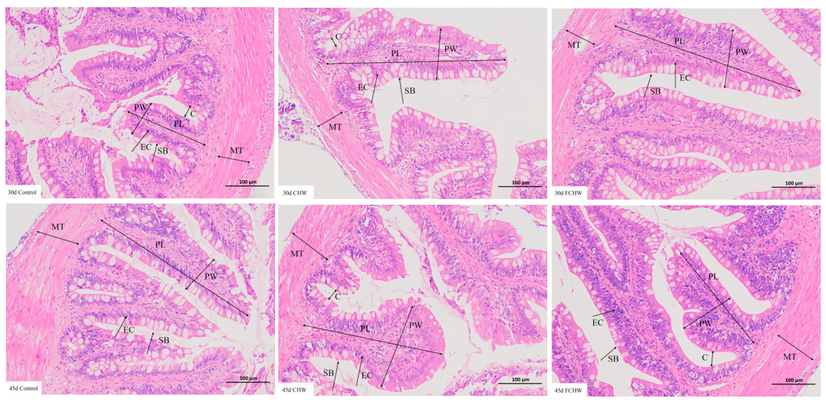 Fishes 10 00629 g002