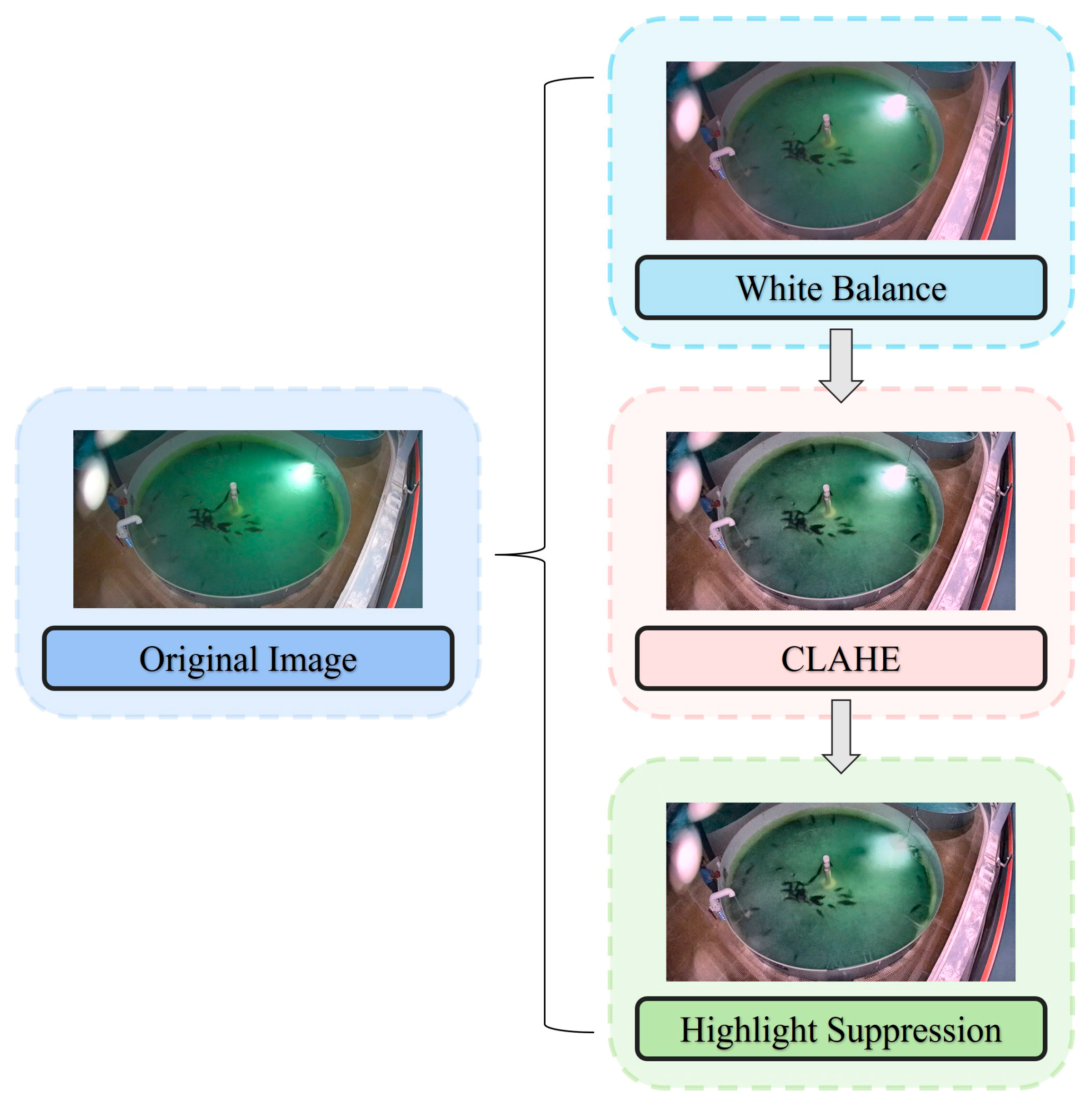 Fishes 10 00630 g004 Fishes 10 00630 g004