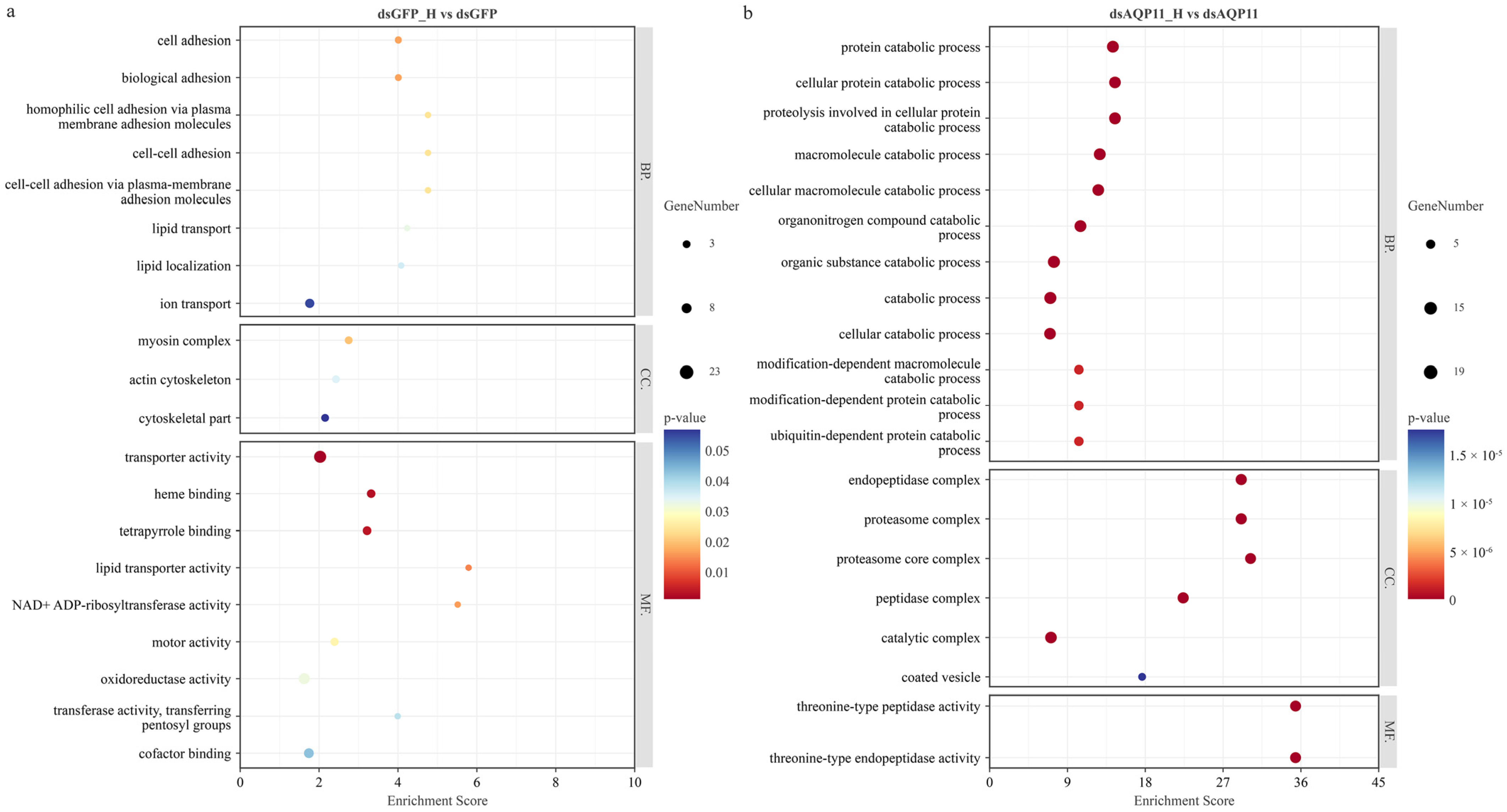 Fishes 10 00631 g003 Fishes 10 00631 g003