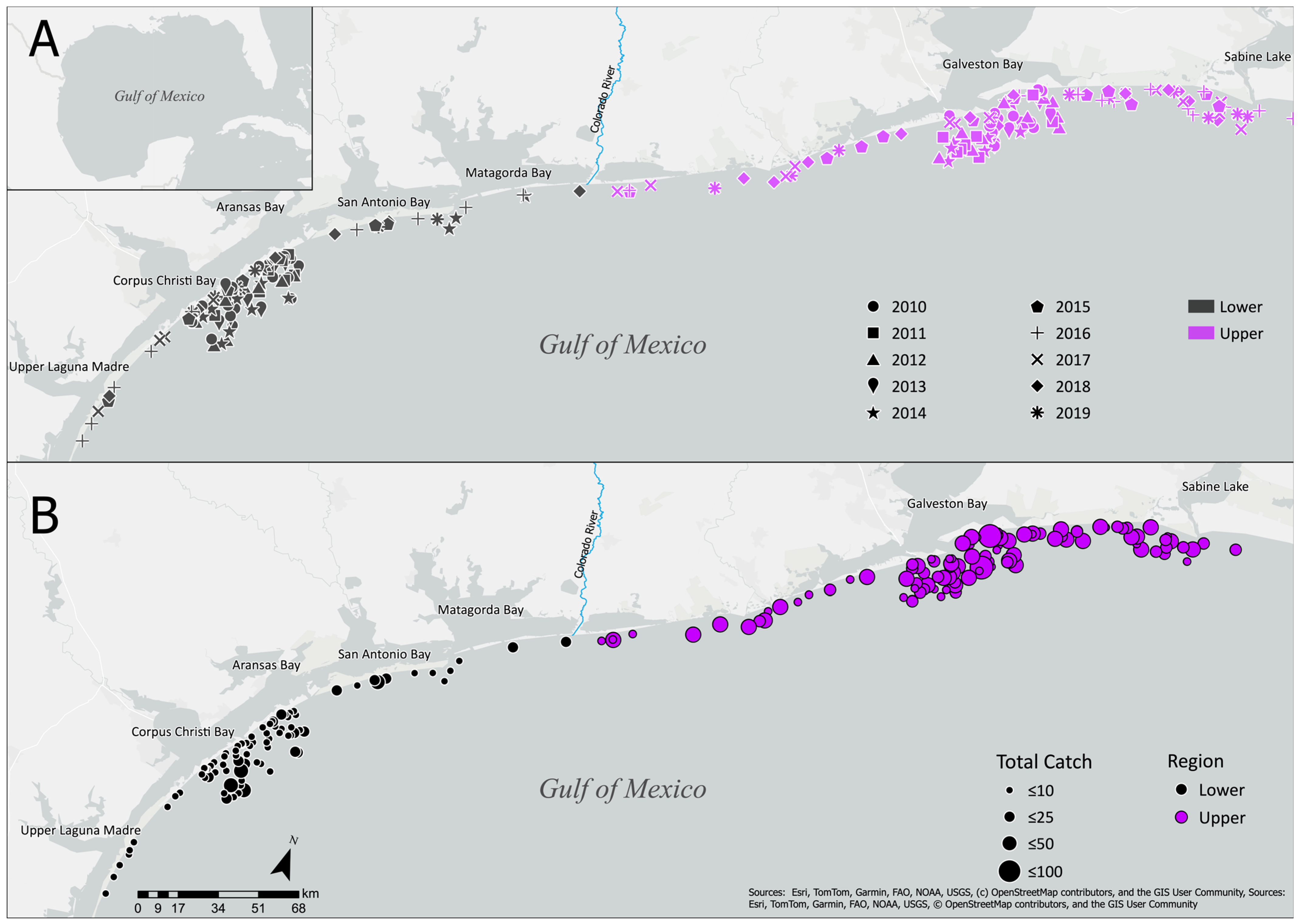 Fishes 10 00632 g001 Fishes 10 00632 g001