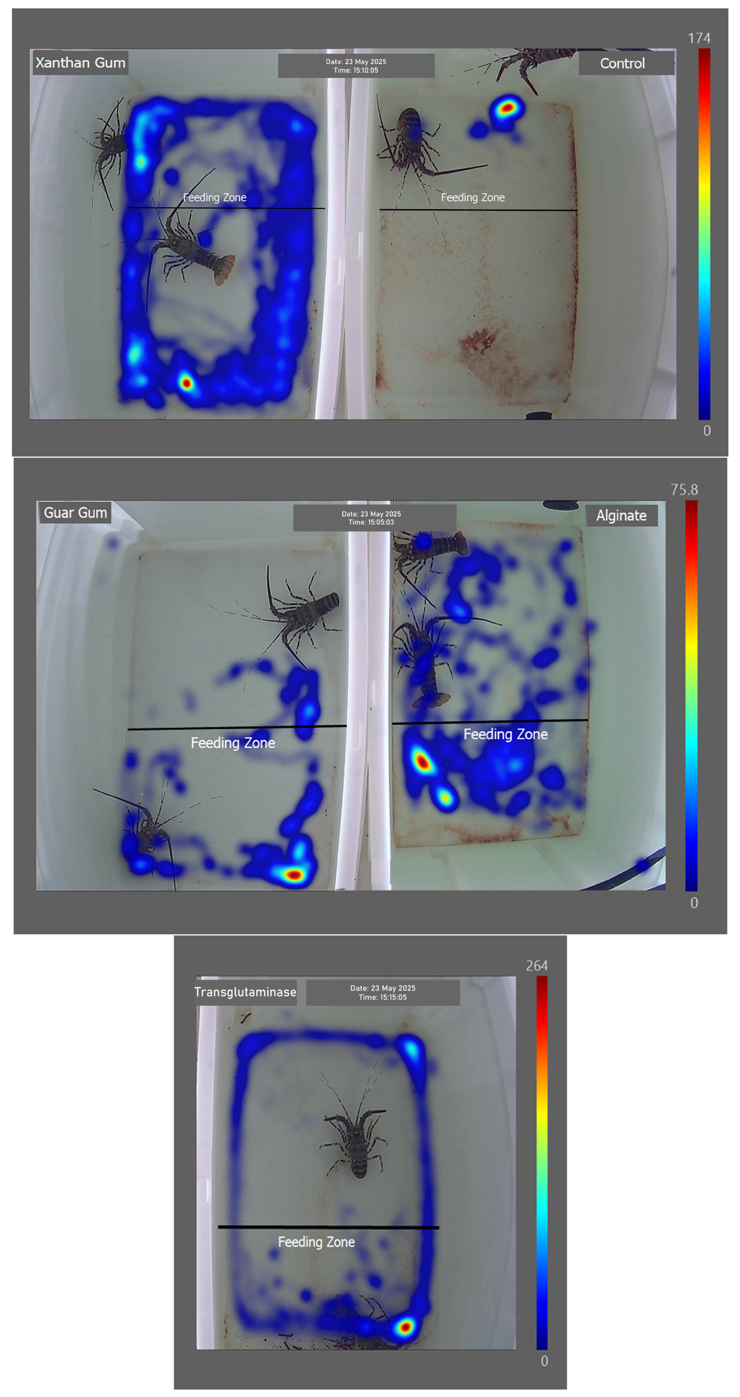 Fishes 10 00638 g003