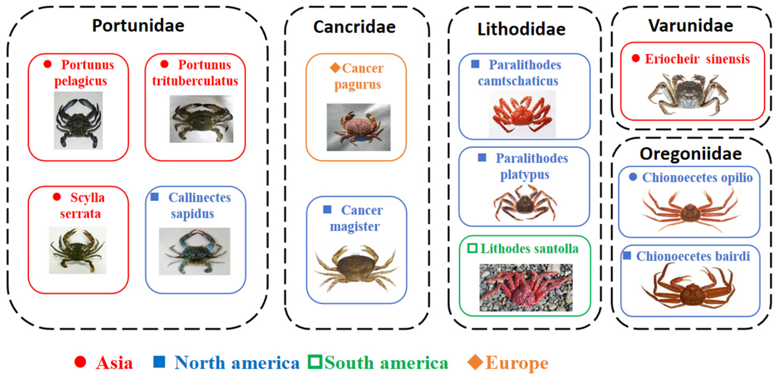Fishes 10 00639 g001