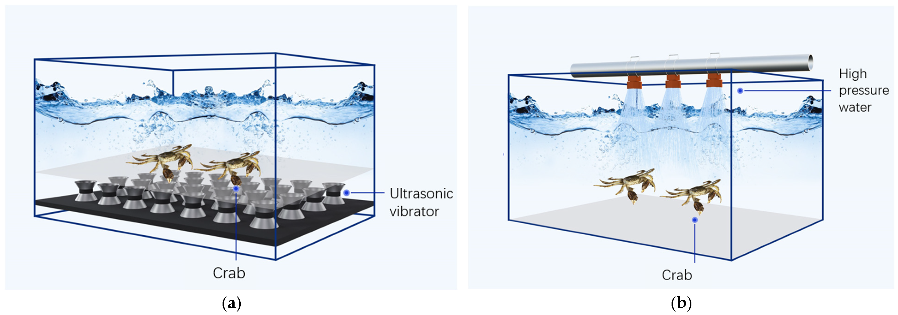 Fishes 10 00639 g006