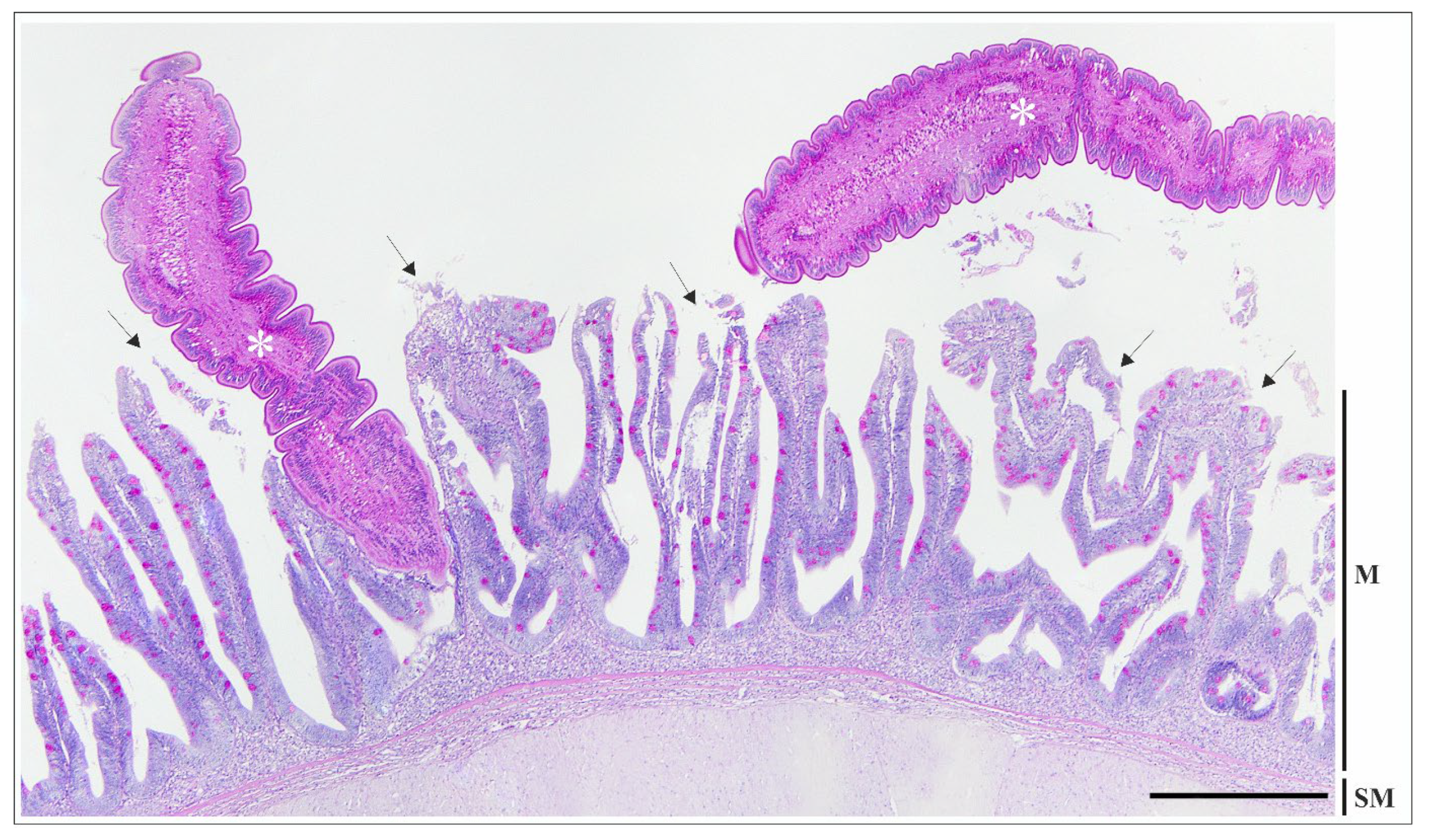 Fishes 10 00640 g002