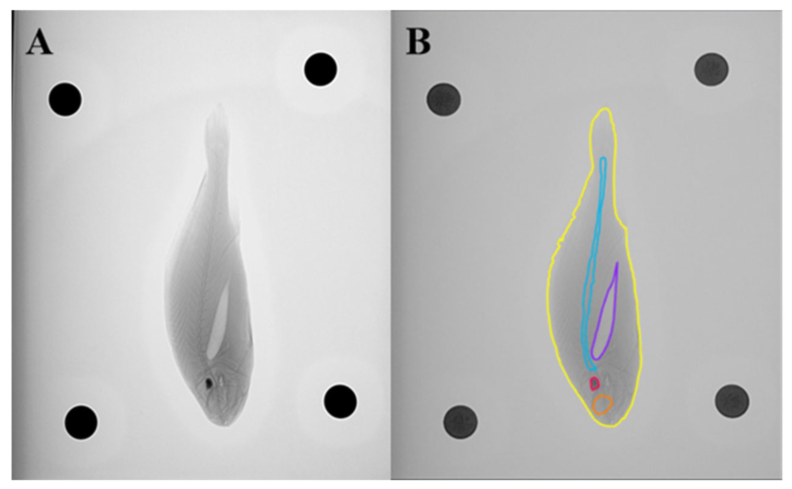 Fishes 10 00641 g003 Fishes 10 00641 g003