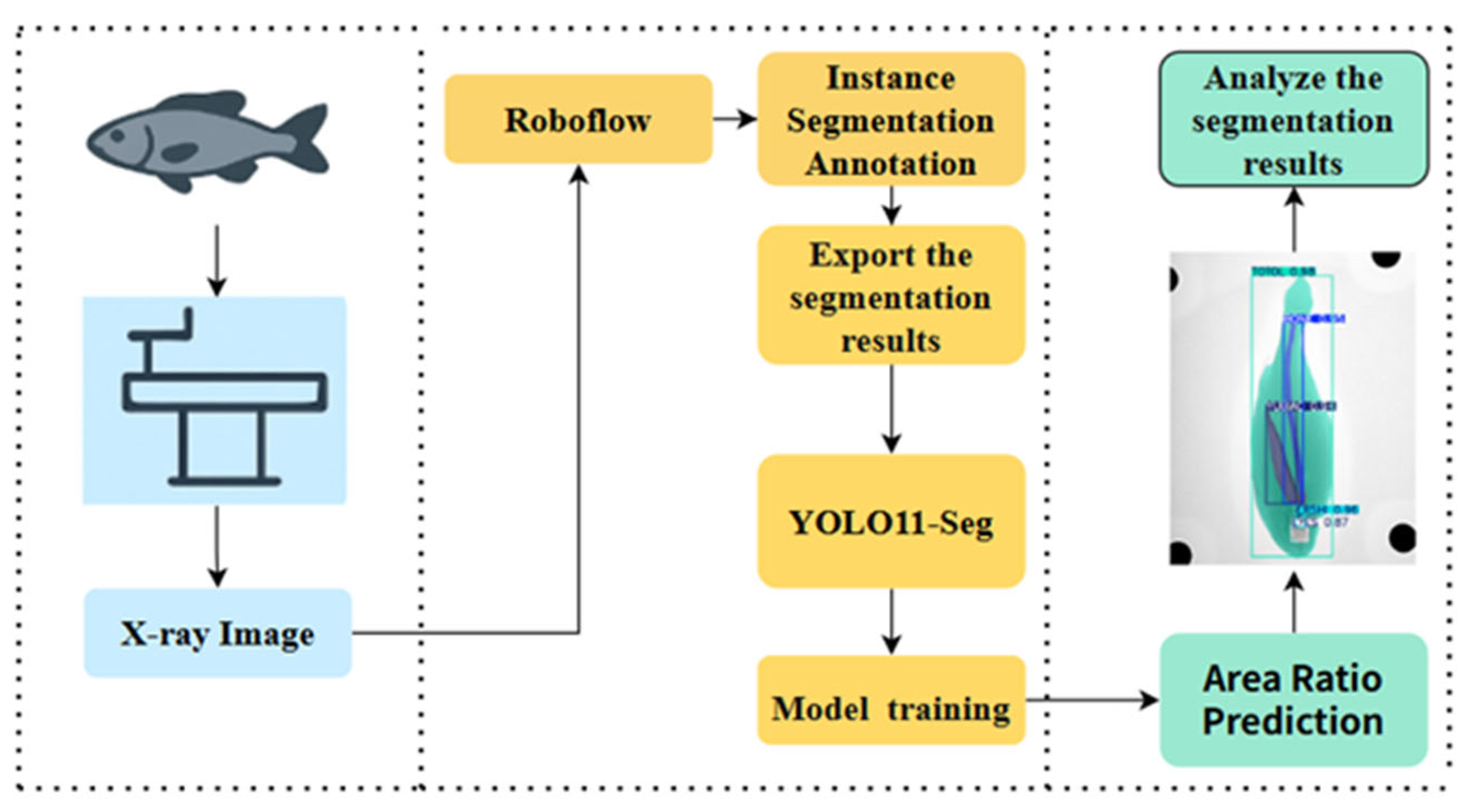 Fishes 10 00641 g004 Fishes 10 00641 g004
