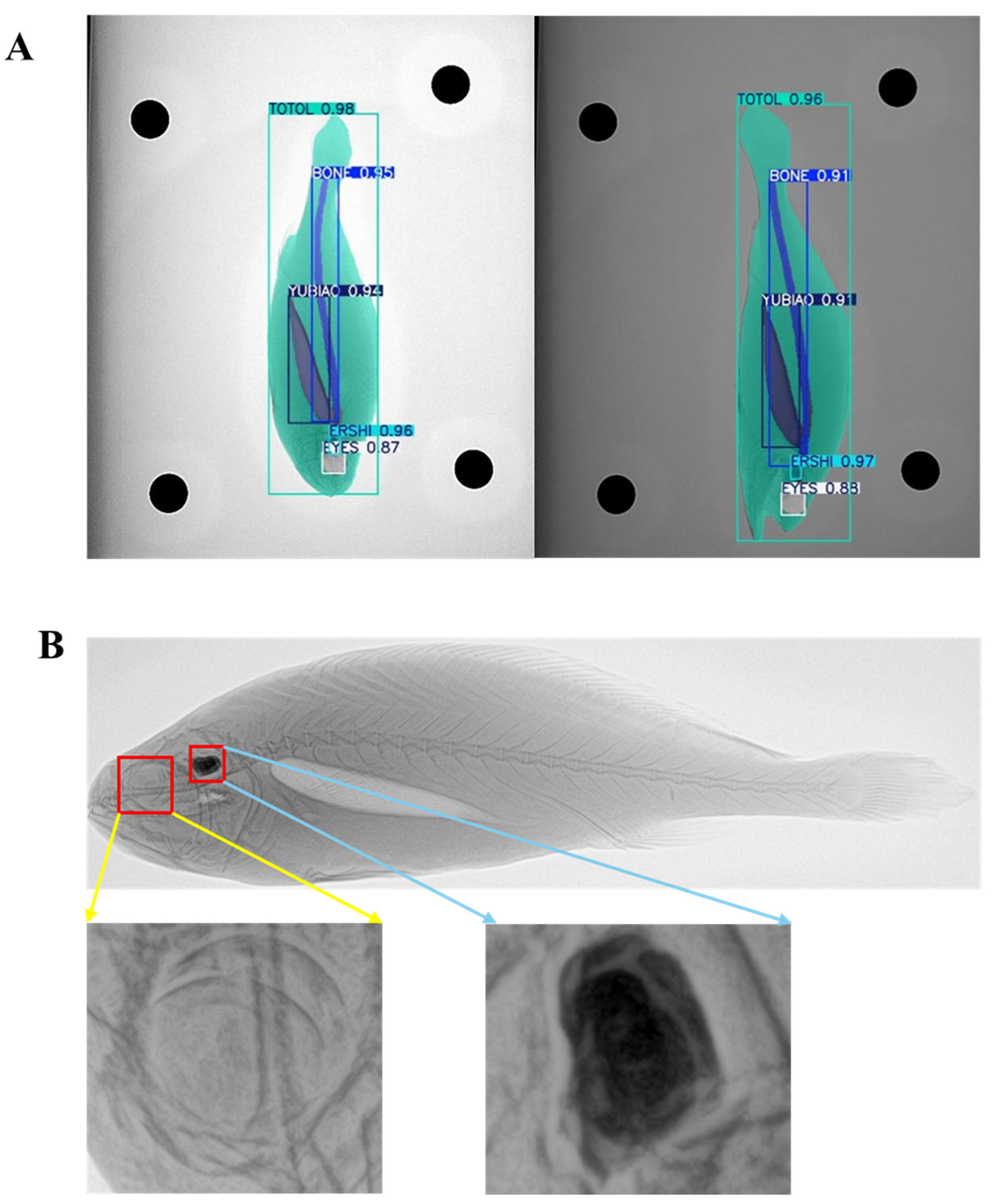 Fishes 10 00641 g008 Fishes 10 00641 g008