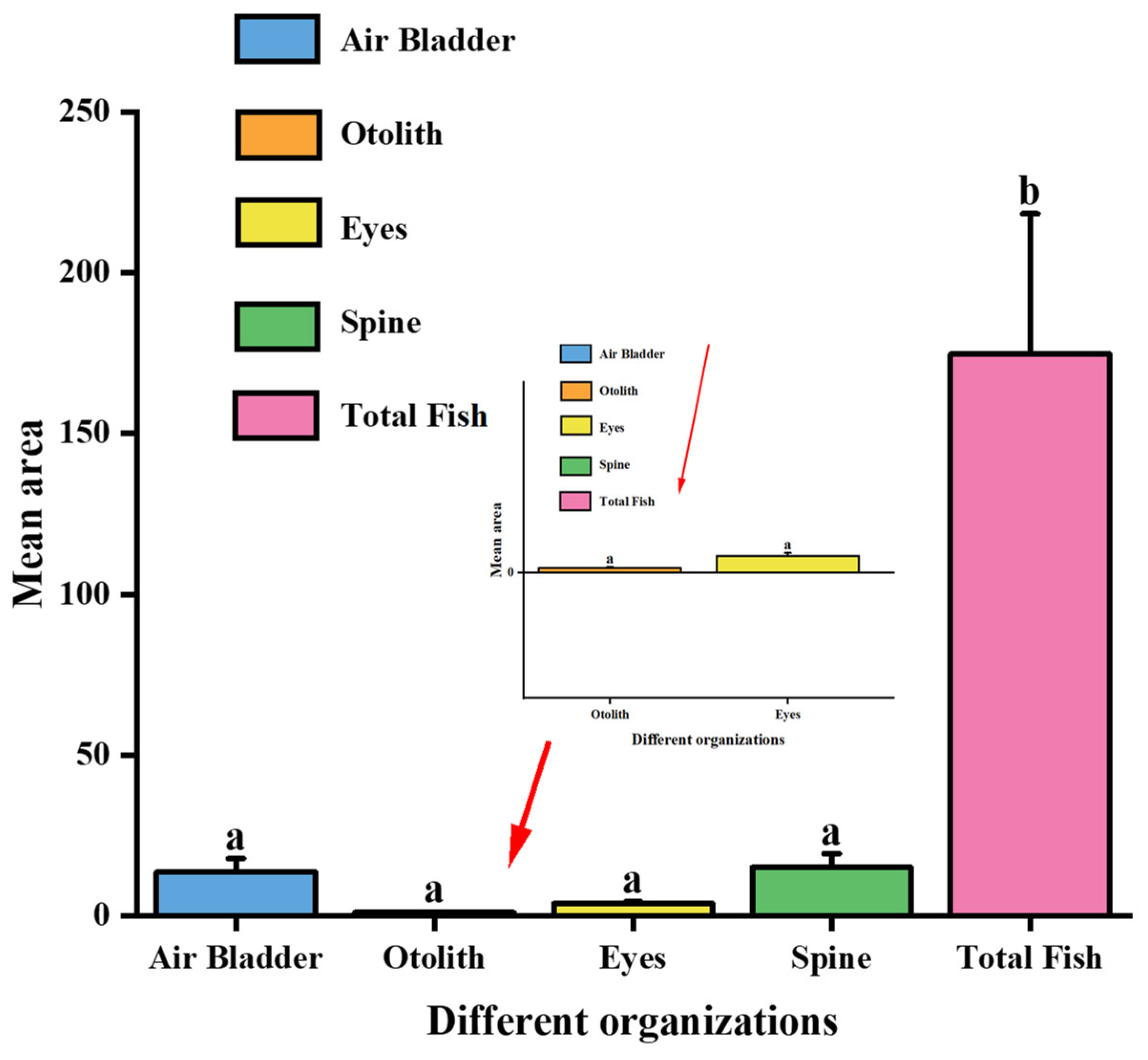 Fishes 10 00641 g009 Fishes 10 00641 g009