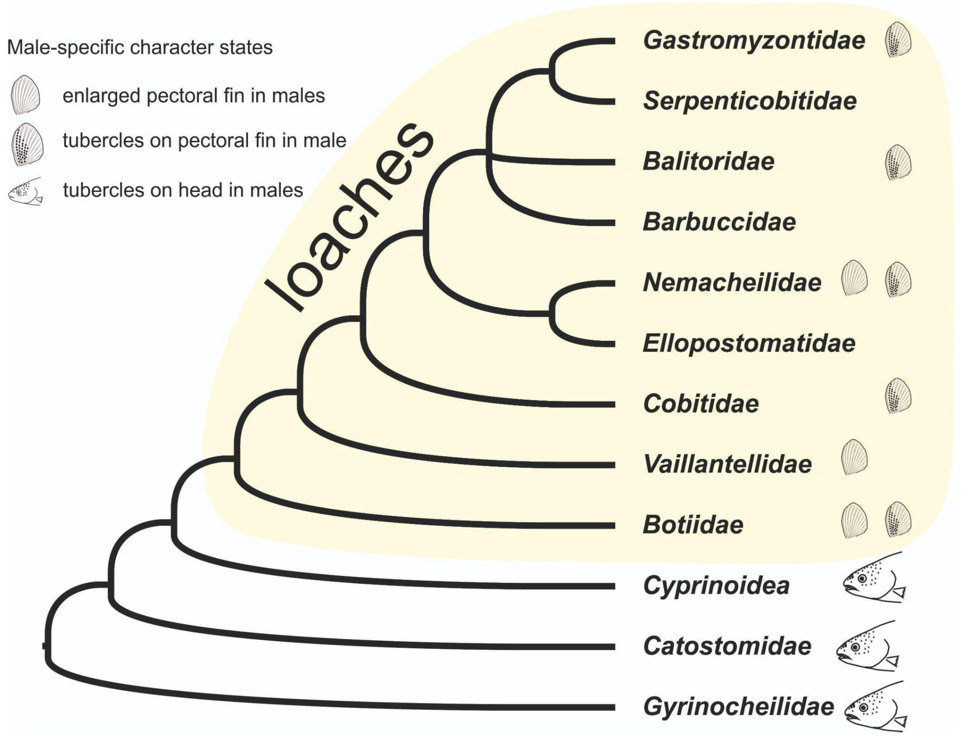 Fishes 10 00648 g006