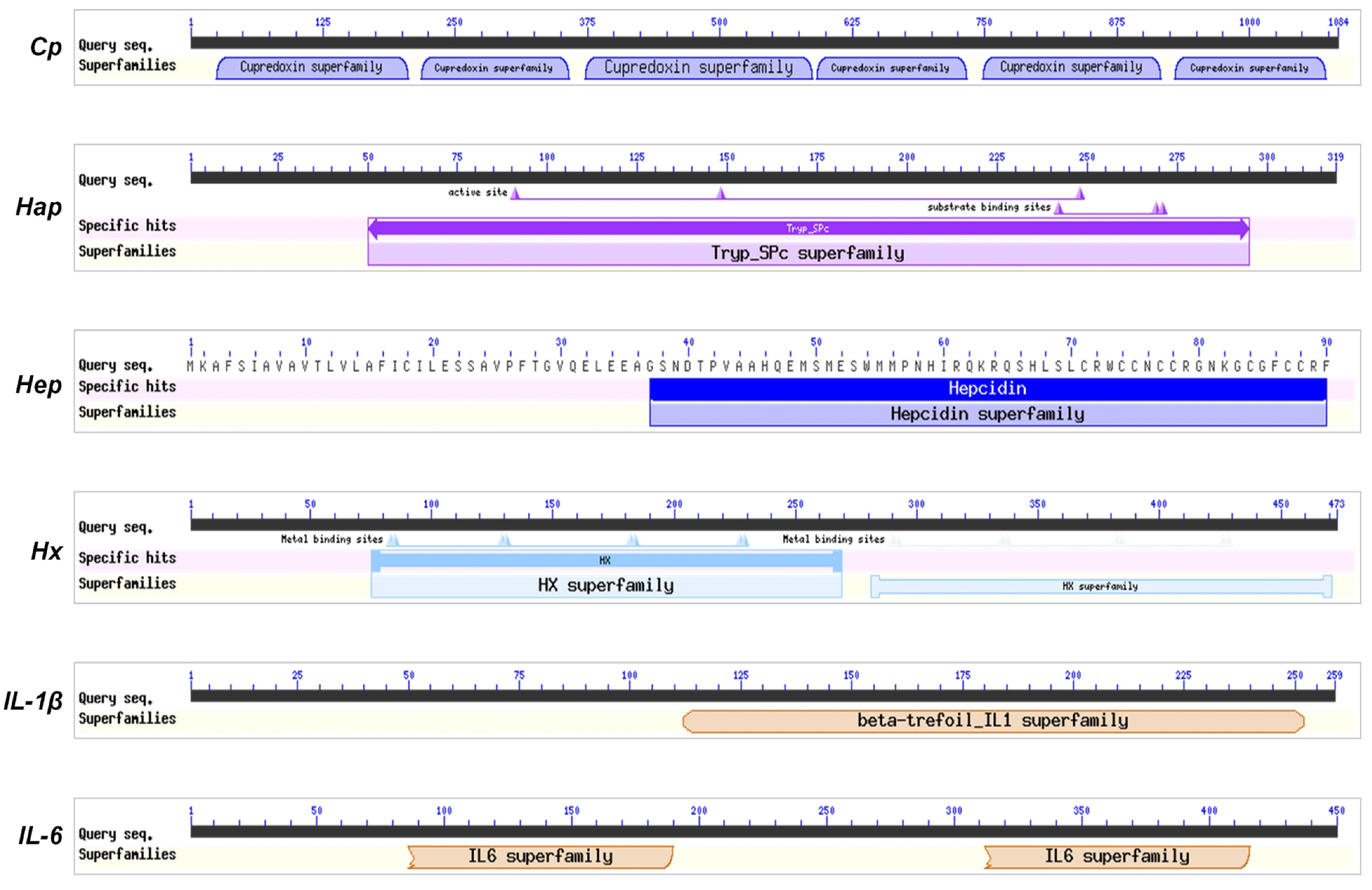 Fishes 11 00012 g001