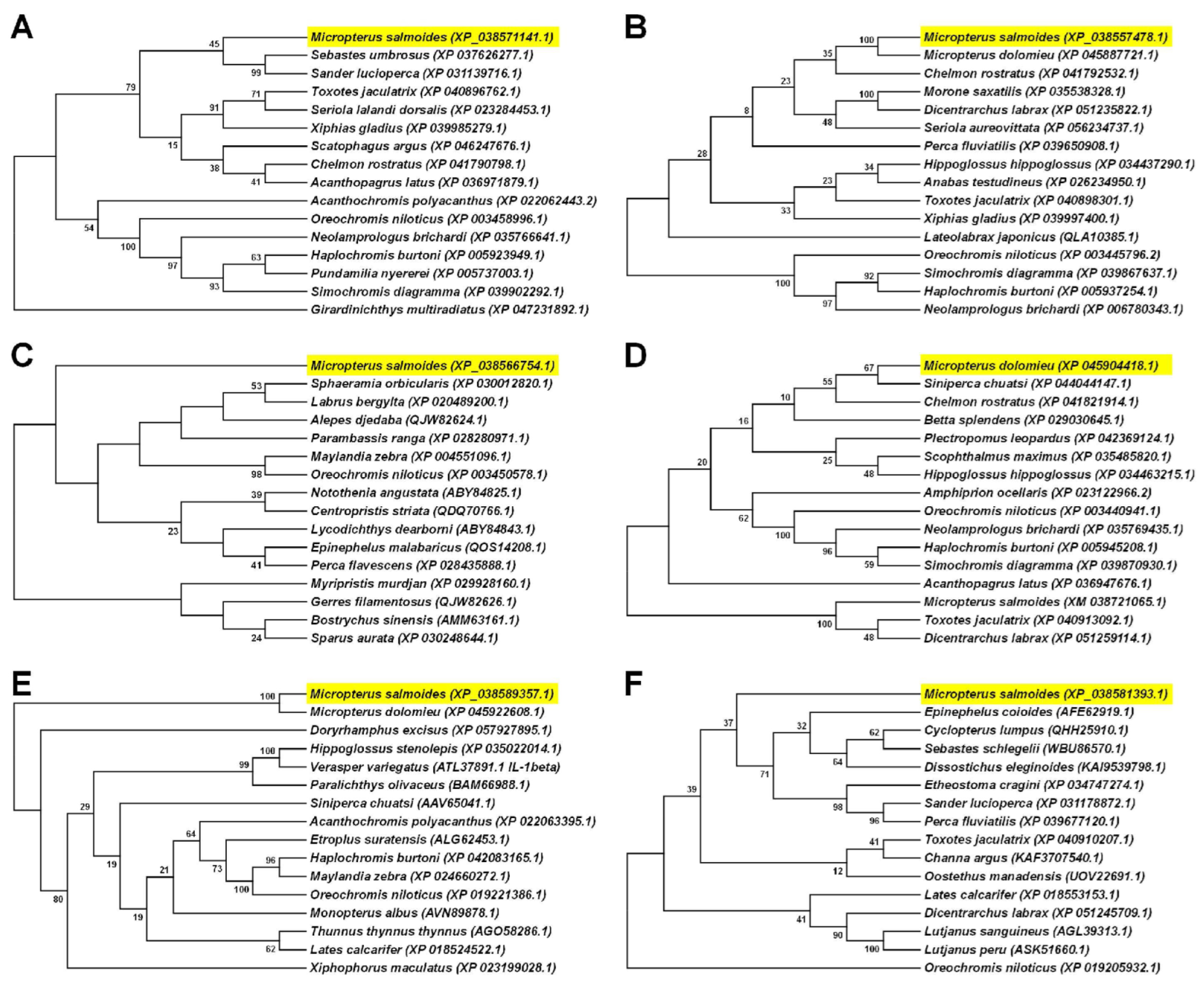 Fishes 11 00012 g003