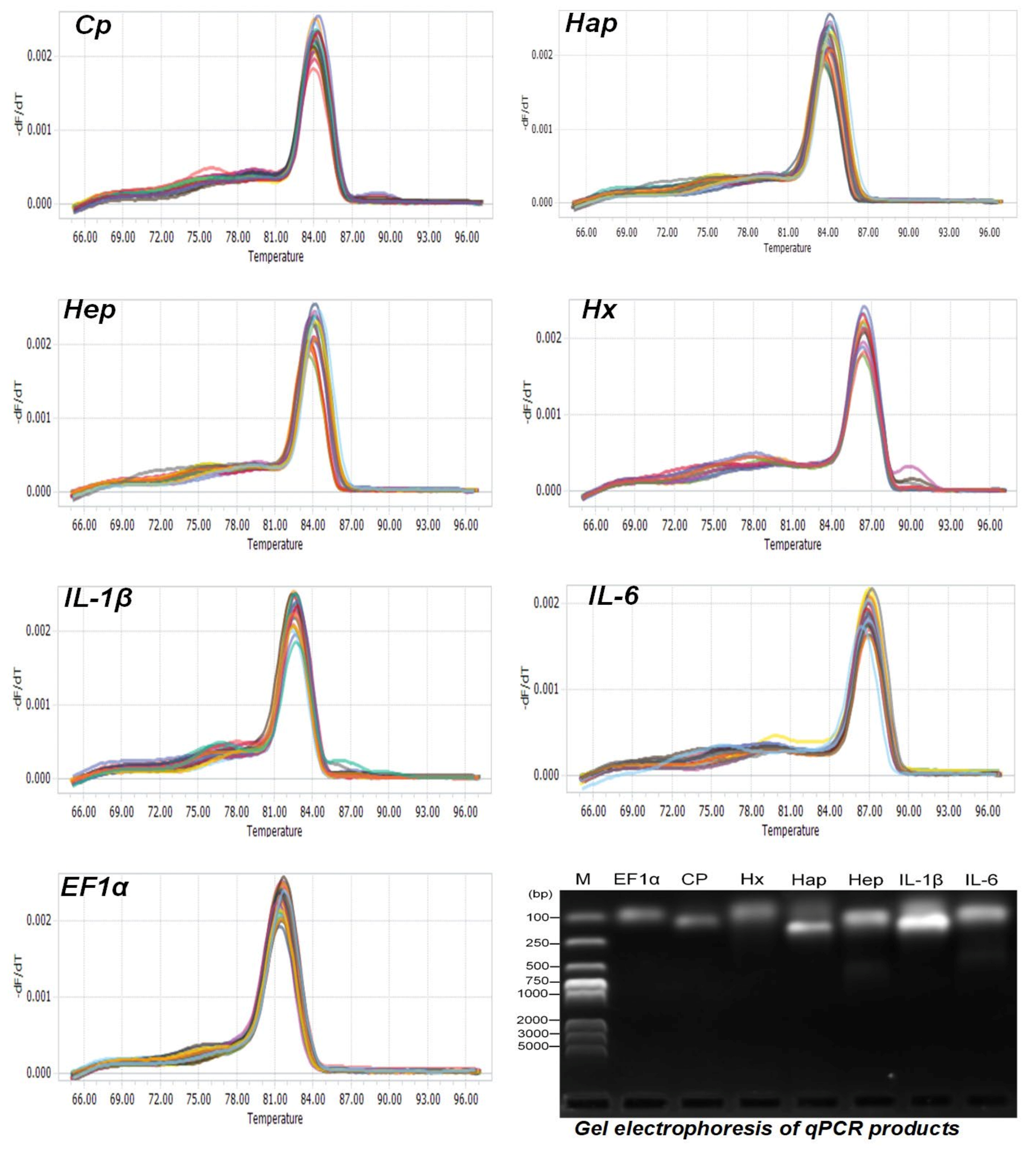 Fishes 11 00012 g004