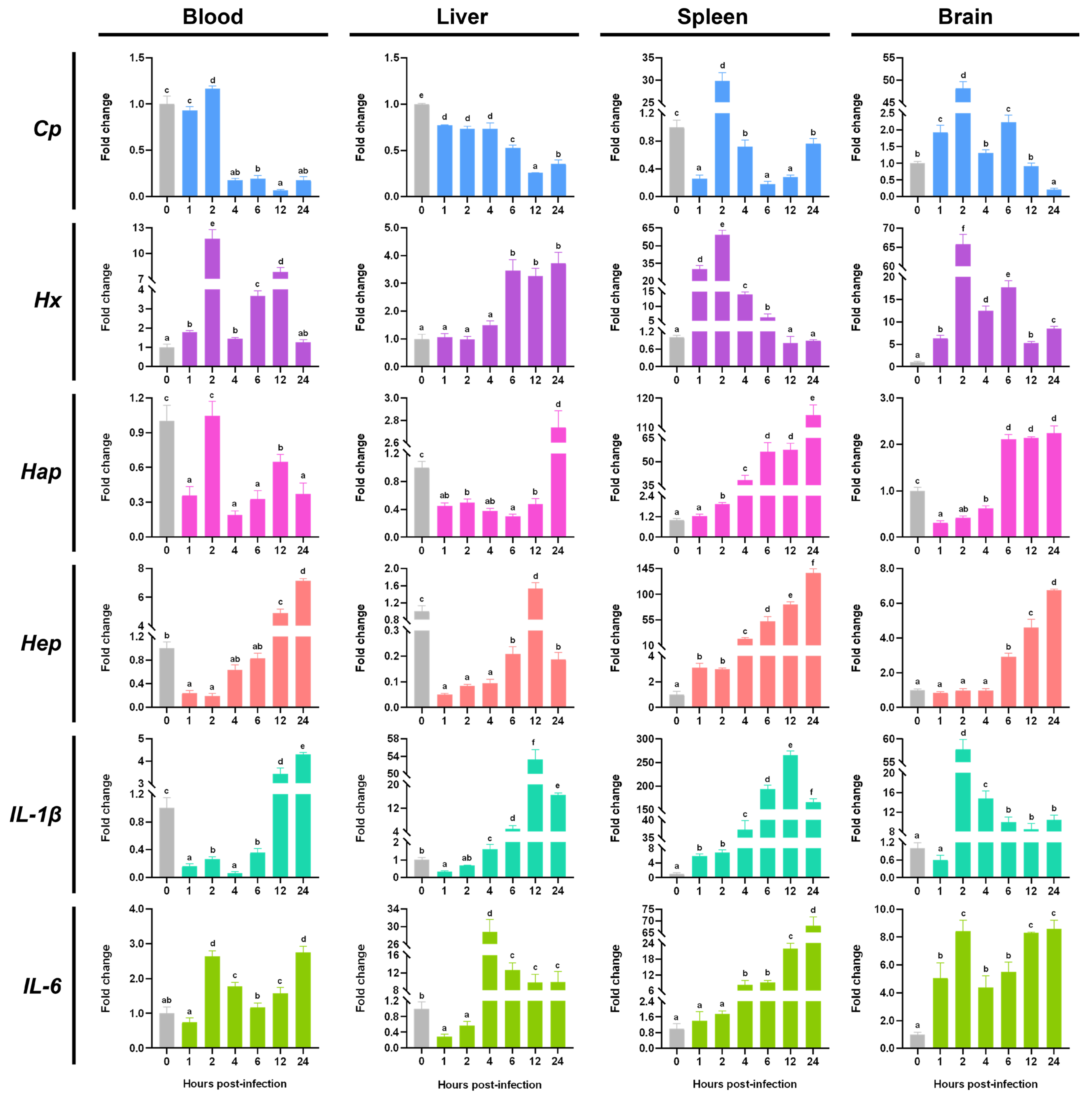 Fishes 11 00012 g006