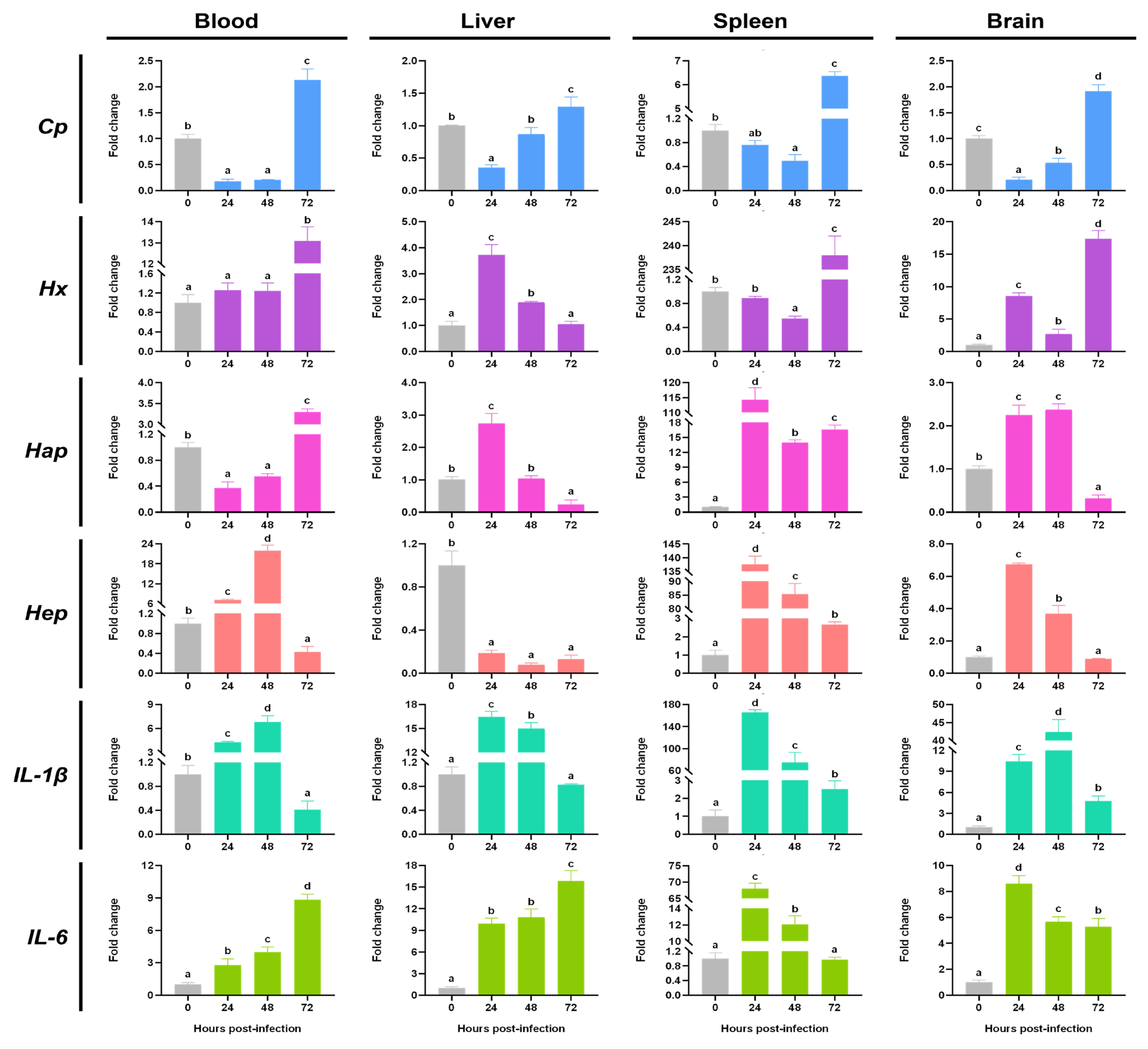 Fishes 11 00012 g007
