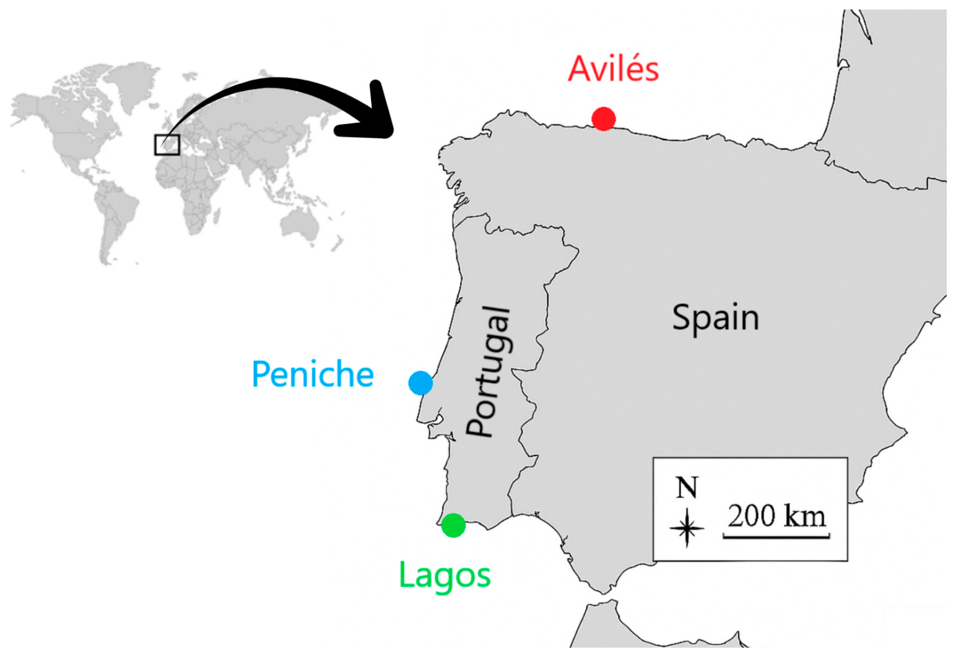 Fishes 11 00016 g001