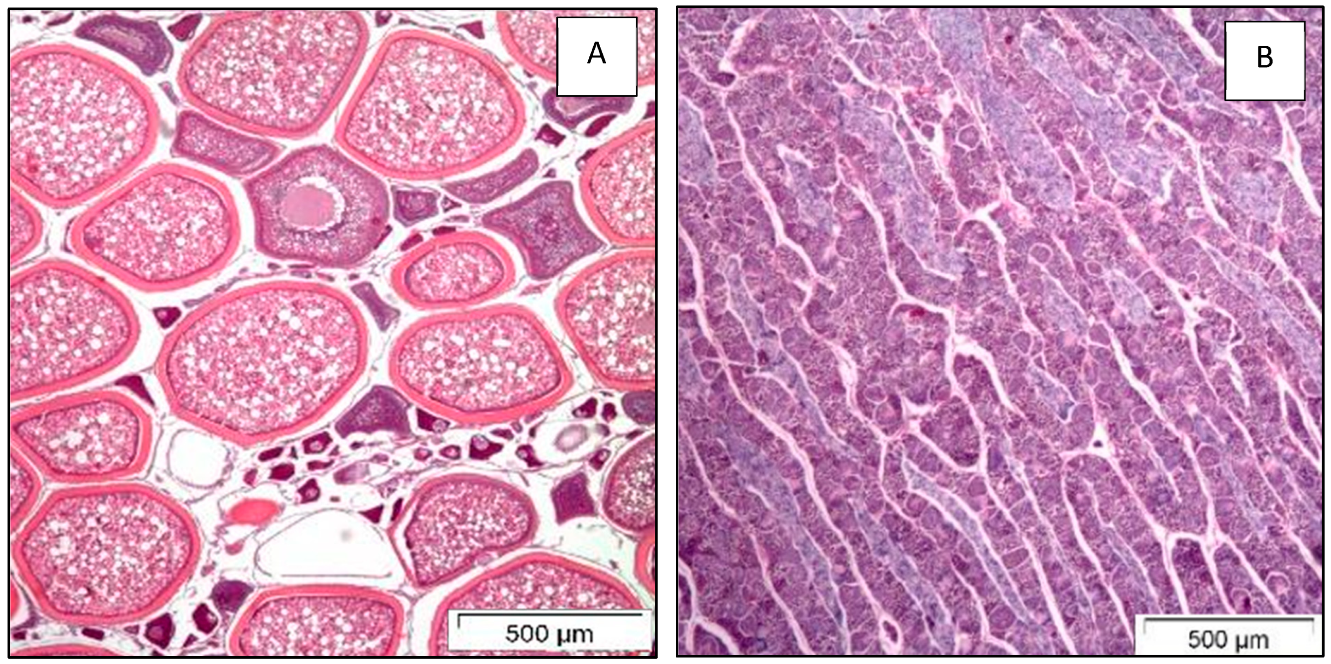 Fishes 11 00016 g002