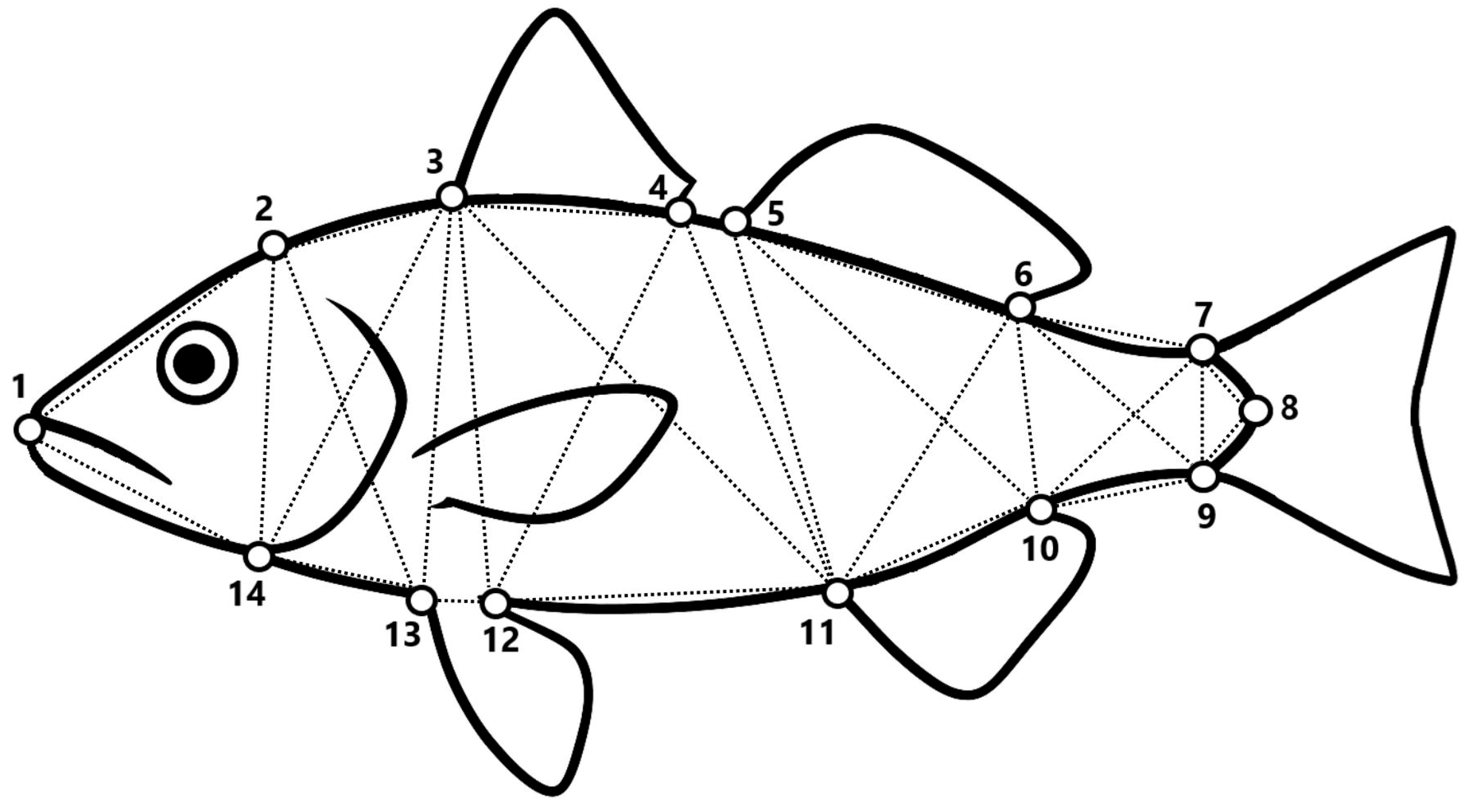 Fishes 11 00016 g003