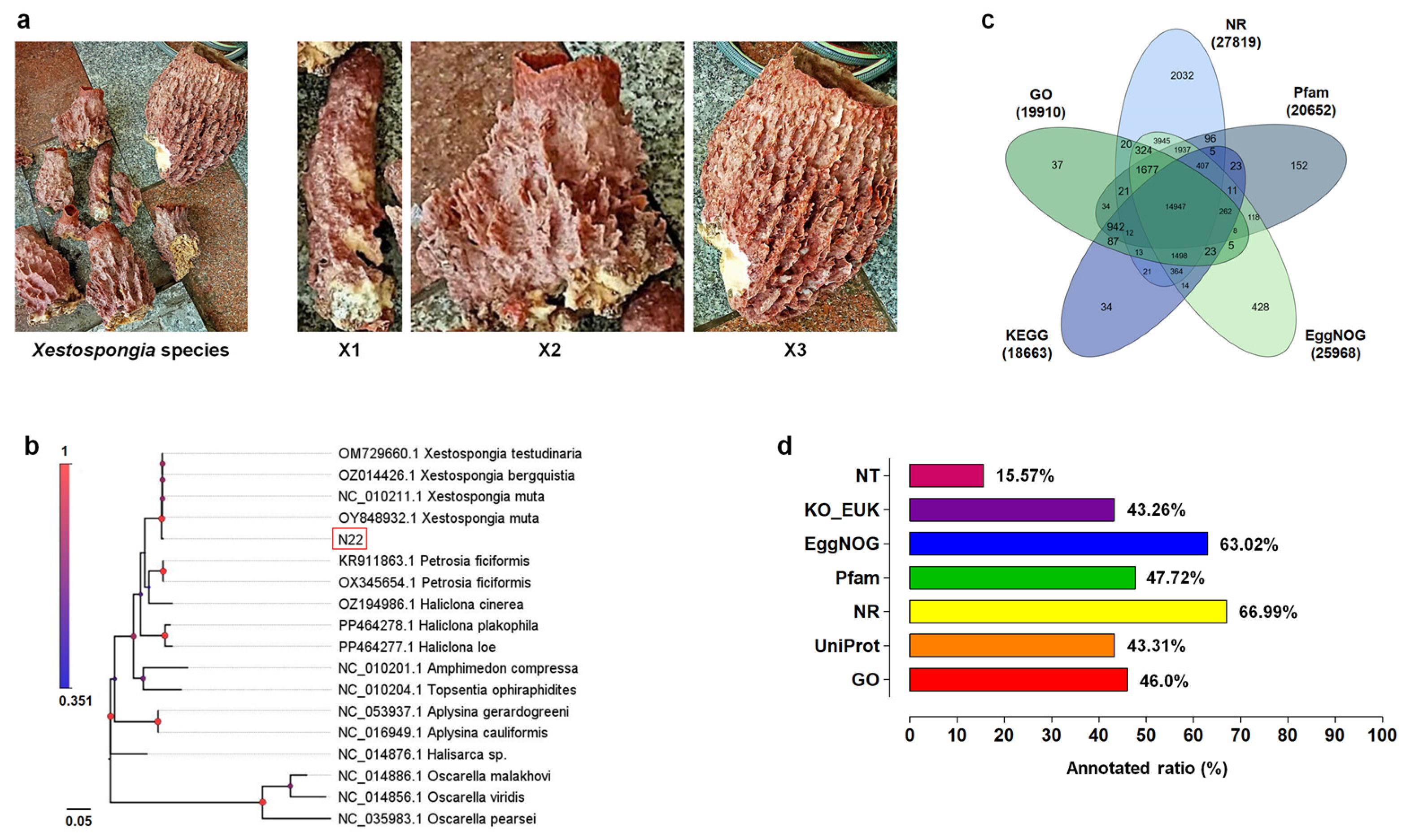Fishes 11 00023 g001 Fishes 11 00023 g001