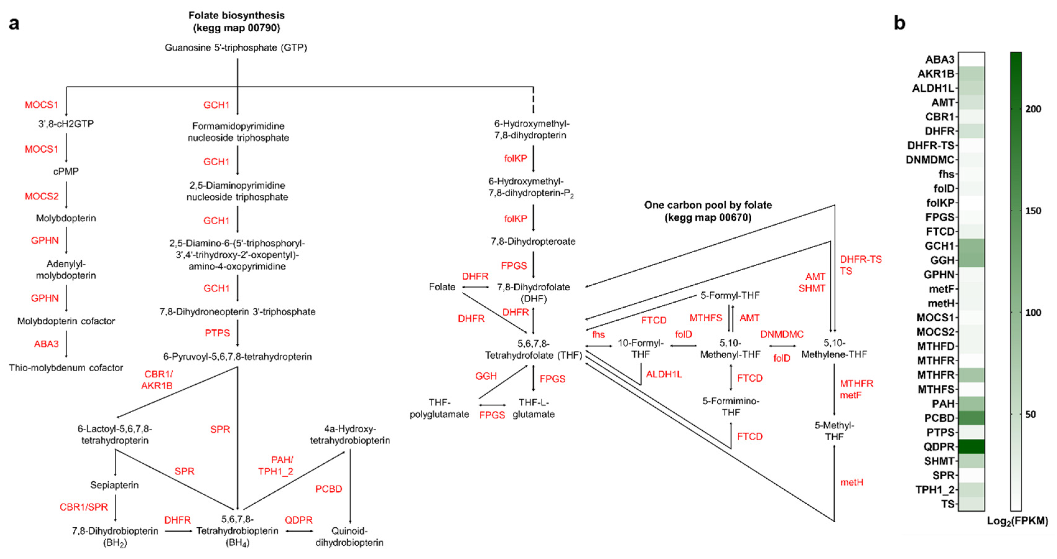 Fishes 11 00023 g004 Fishes 11 00023 g004