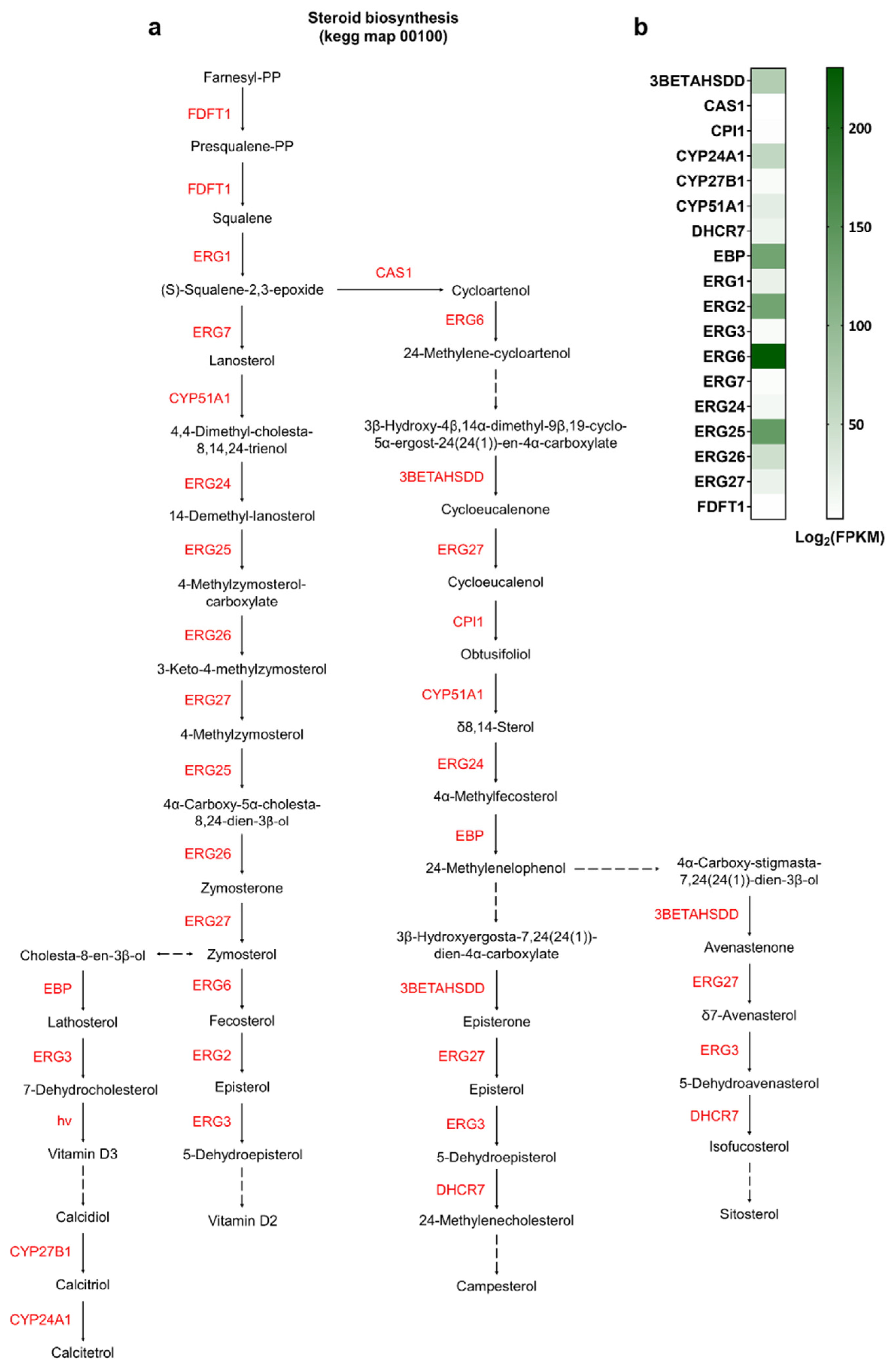 Fishes 11 00023 g007 Fishes 11 00023 g007