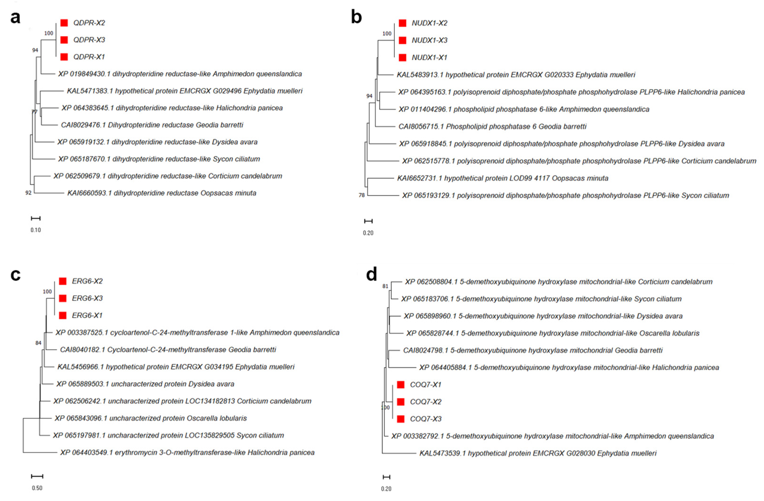 Fishes 11 00023 g008 Fishes 11 00023 g008