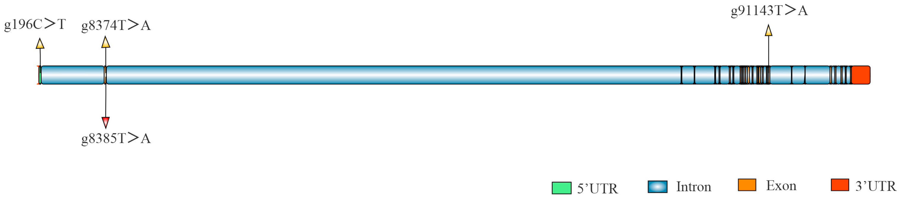 Fishes 11 00031 g001