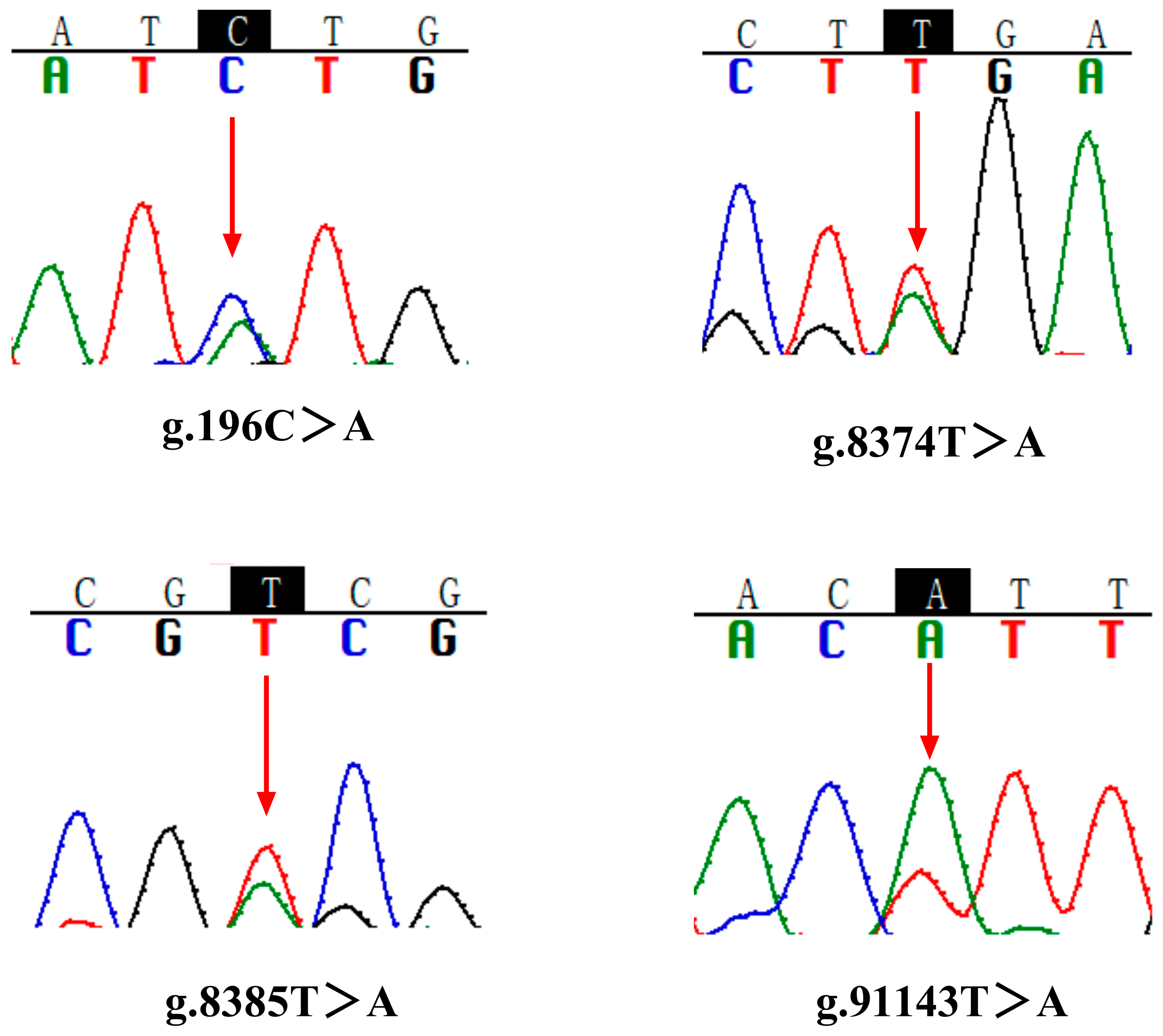 Fishes 11 00031 g002