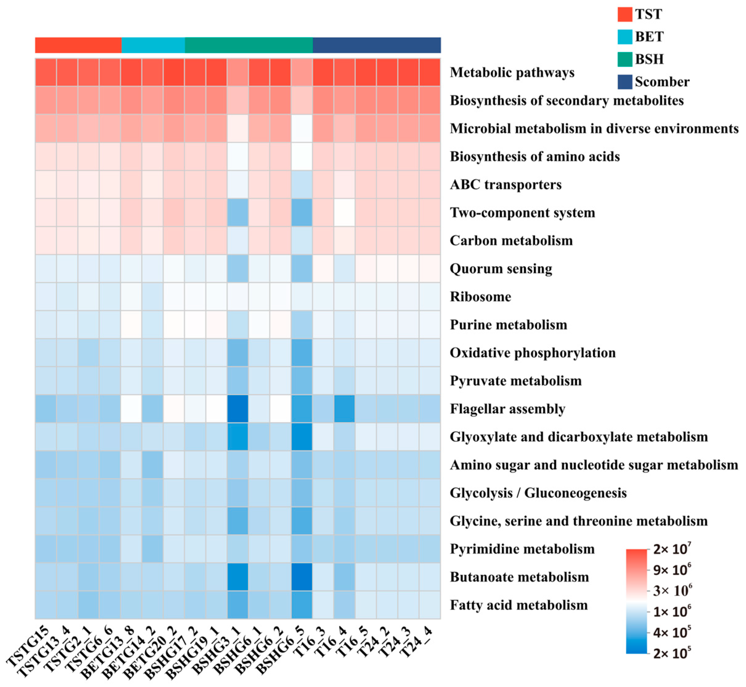 Fishes 11 00065 g007