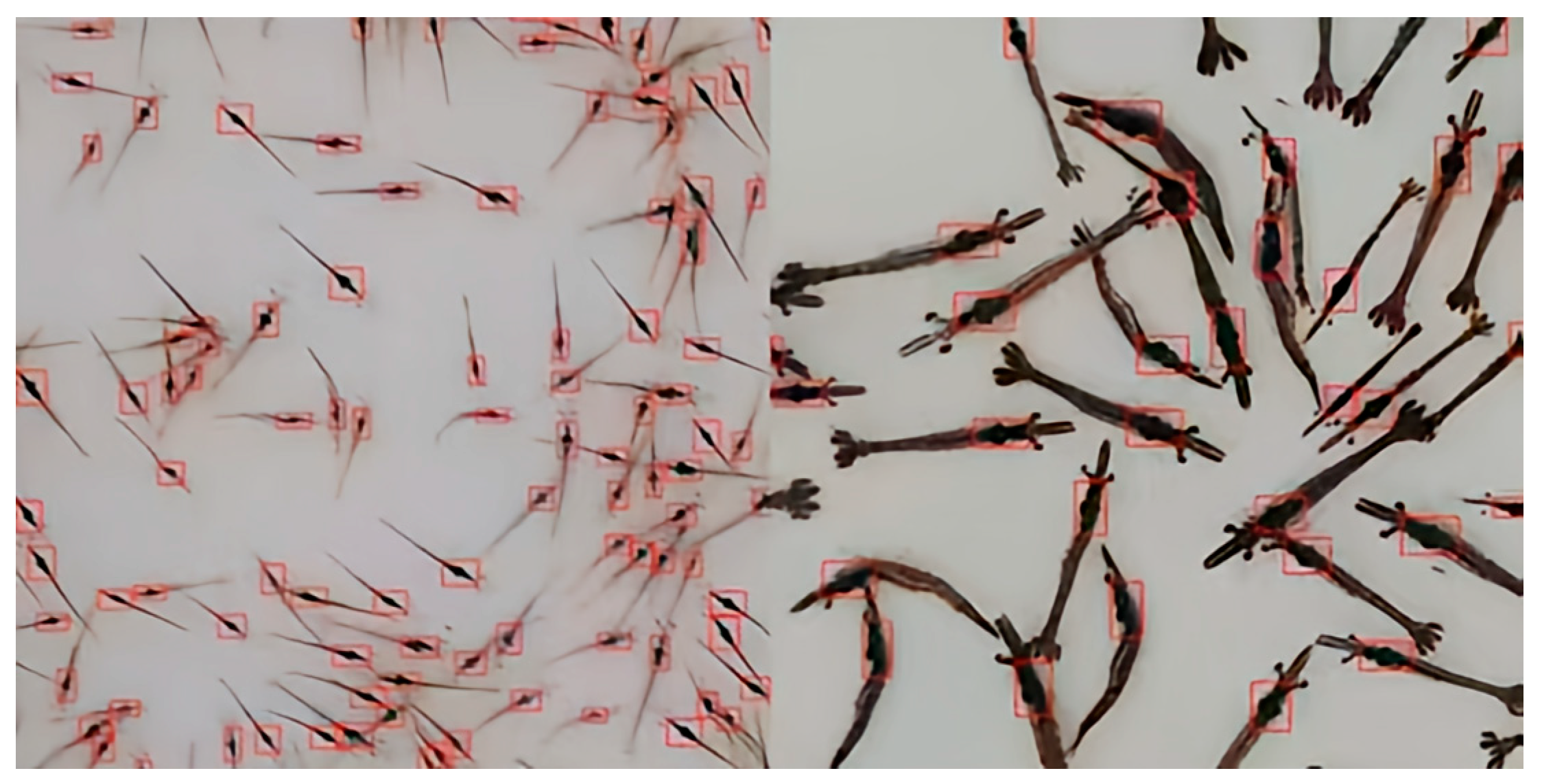 Fishes 11 00114 g012