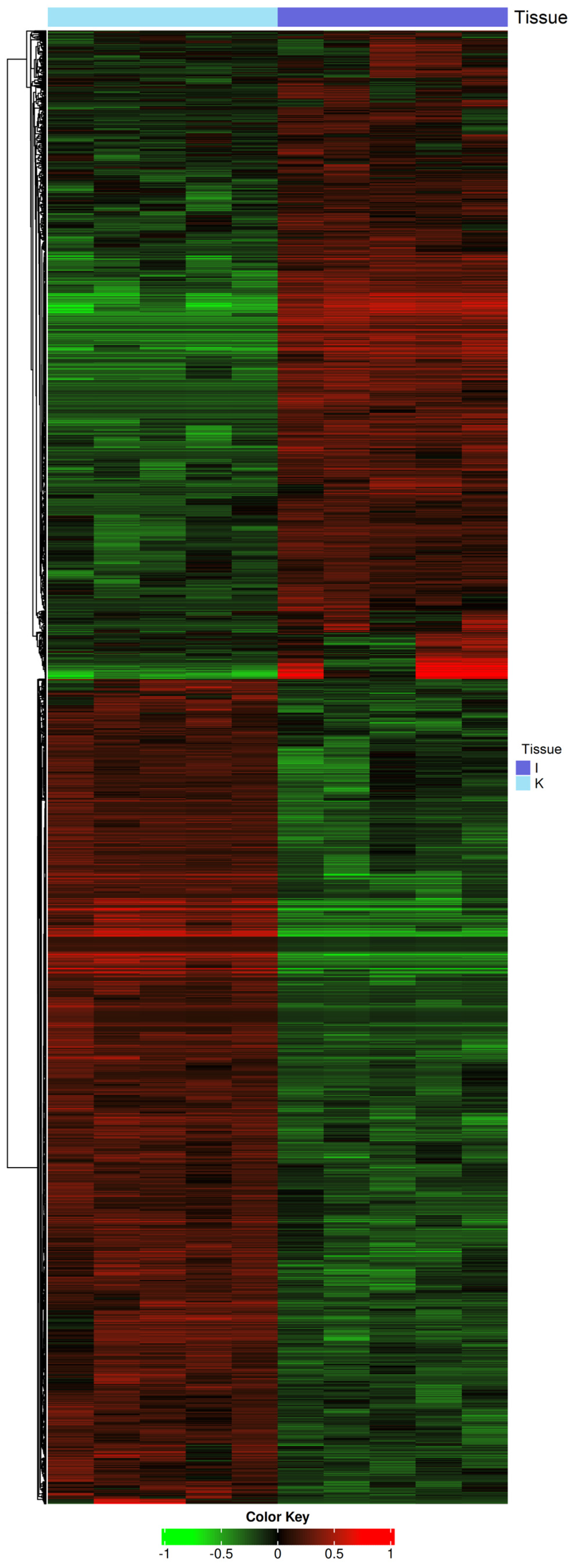 First Hybrid Genome Assembly of the Teleost Fish Red Cusk-Eel