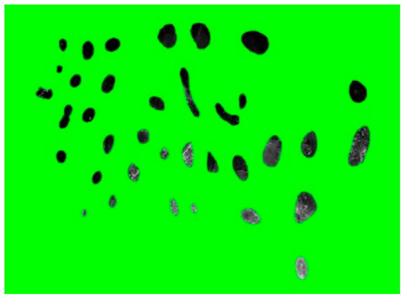 Fishes 11 00271 g017