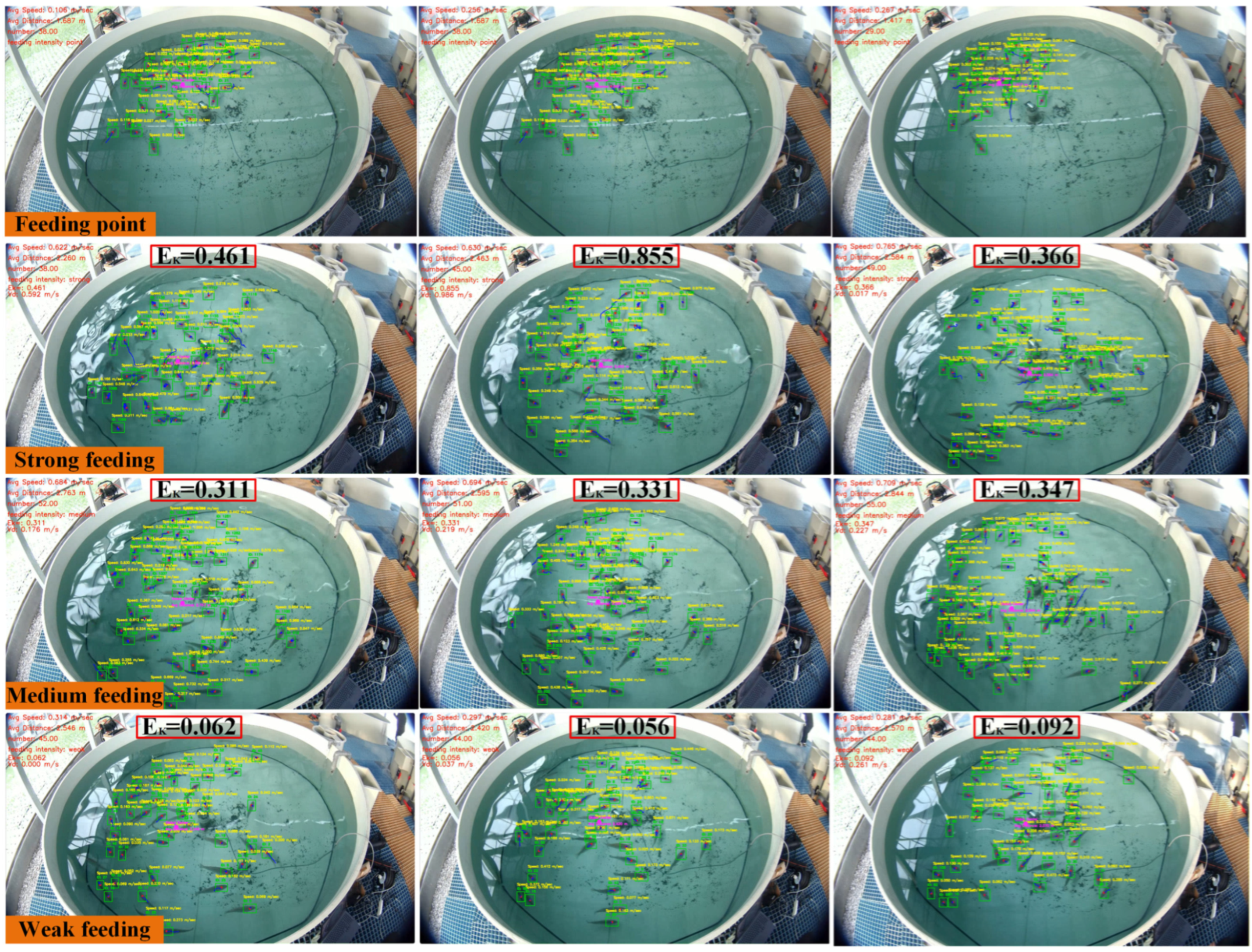 Fishes 11 00300 g021 Fishes 11 00300 g021