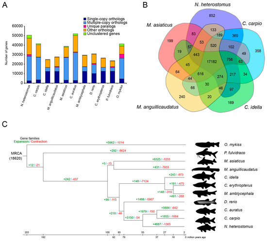 Genome Analysis and Reproductive Observations Suggest