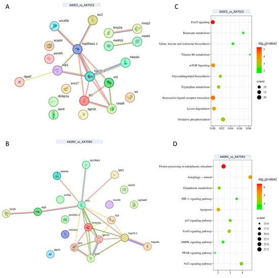 which is better astaxanthin or glutathione Dietary Improves Growth, Modulates Skin Antioxidants and Transcriptomics in Koi Carp (Cyprinus carpio) Under Acute Cold Stress Epitalon TFA (Epithalon TFA) FR Weight:20g