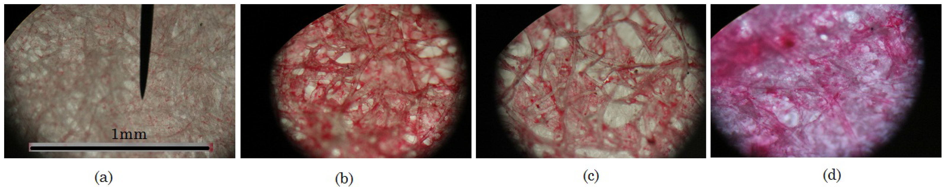 Fluids 01 00012 g003 1024