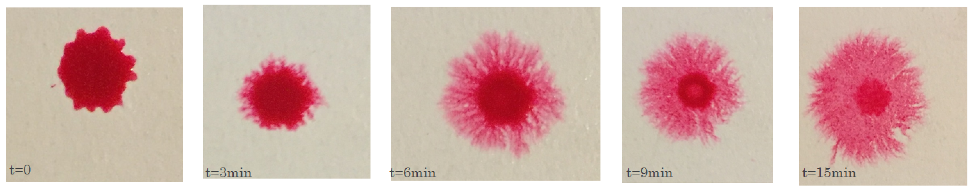 Fluids 01 00012 g004 1024