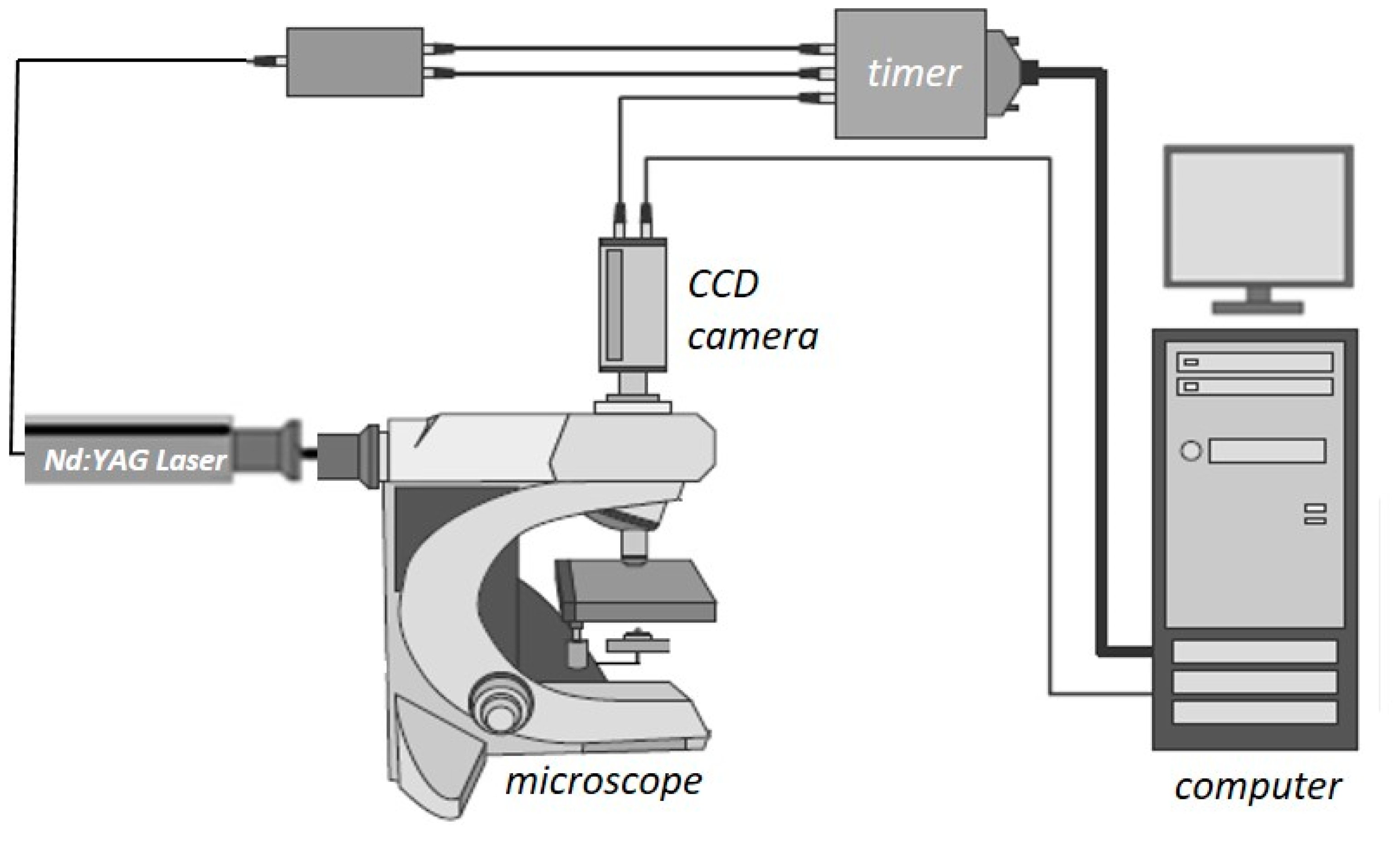 Fluids 03 00004 g003