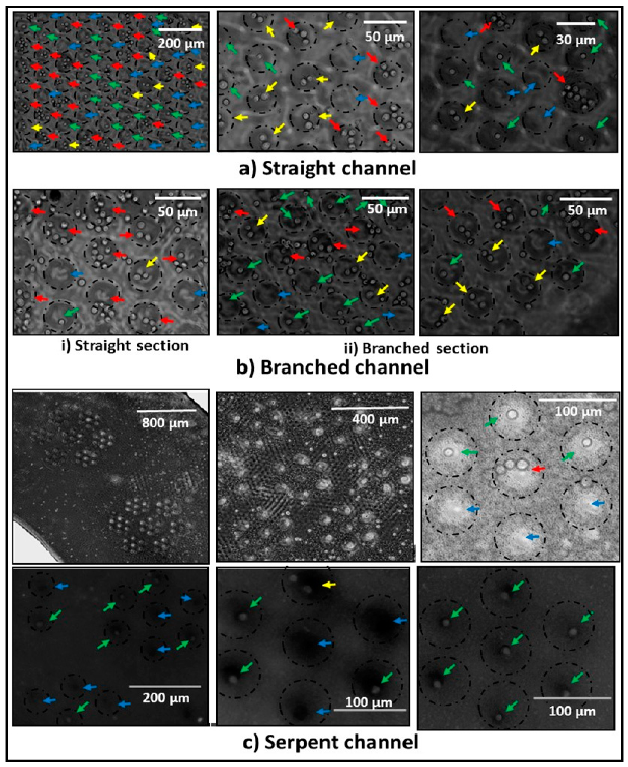 Fluids 03 00051 g009