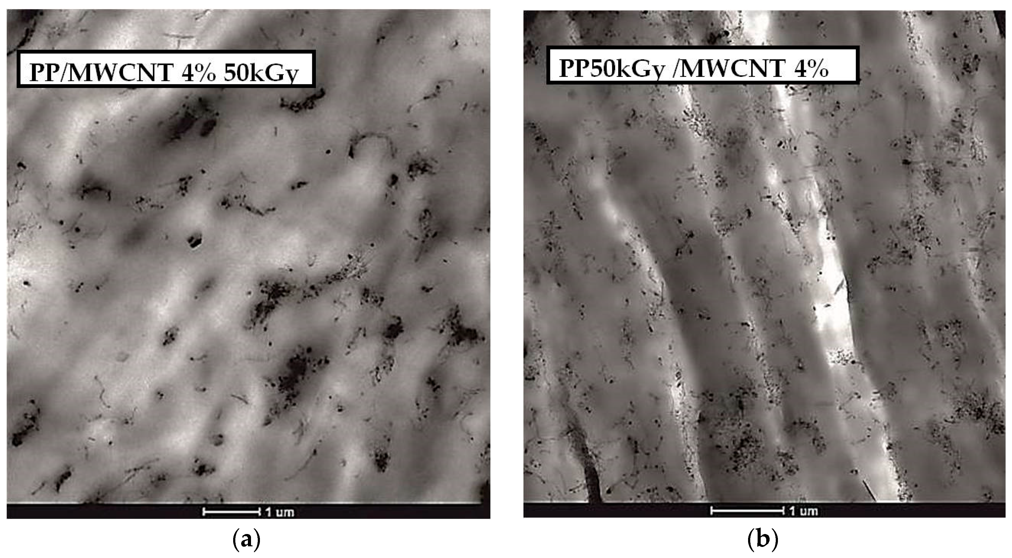 Fluids 04 00007 g003