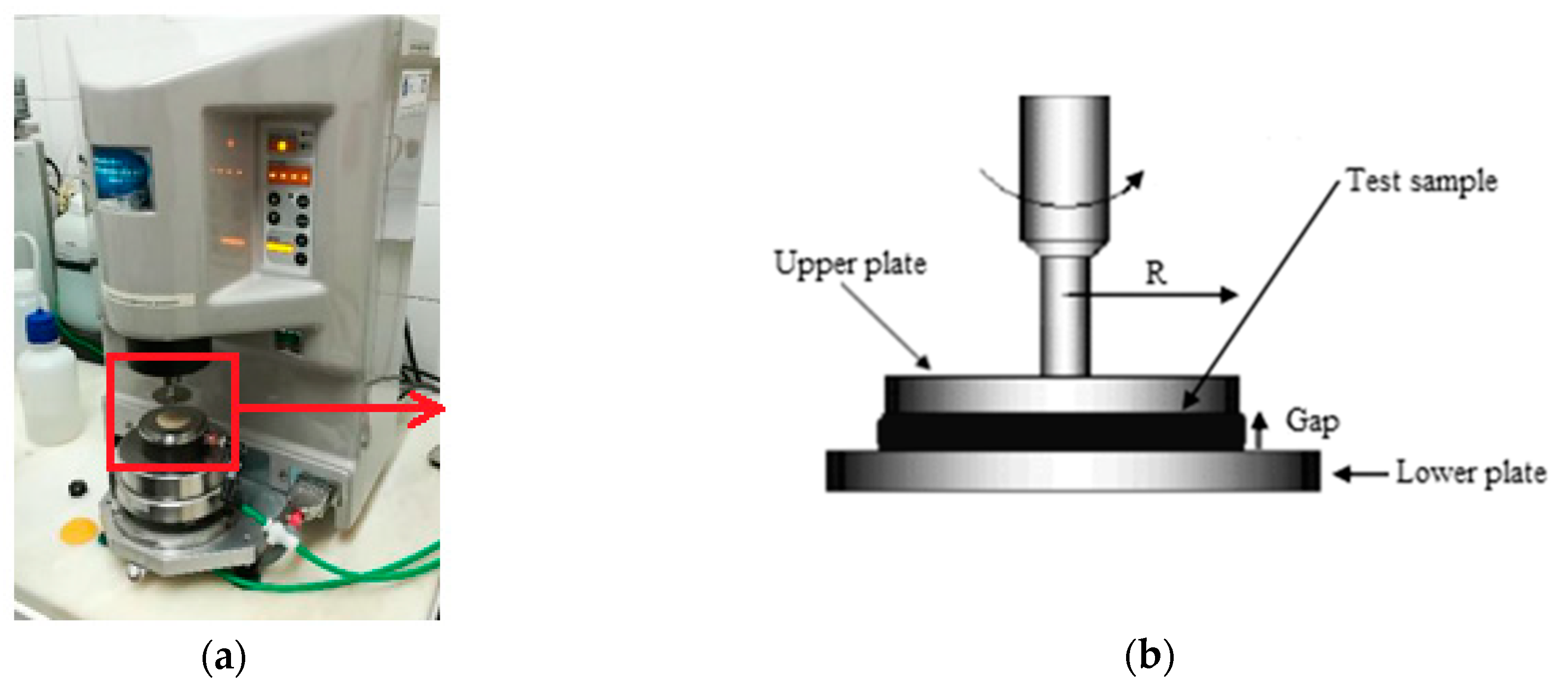 Fluids Free FullText Rheology of Natural Hydraulic Lime Grouts for