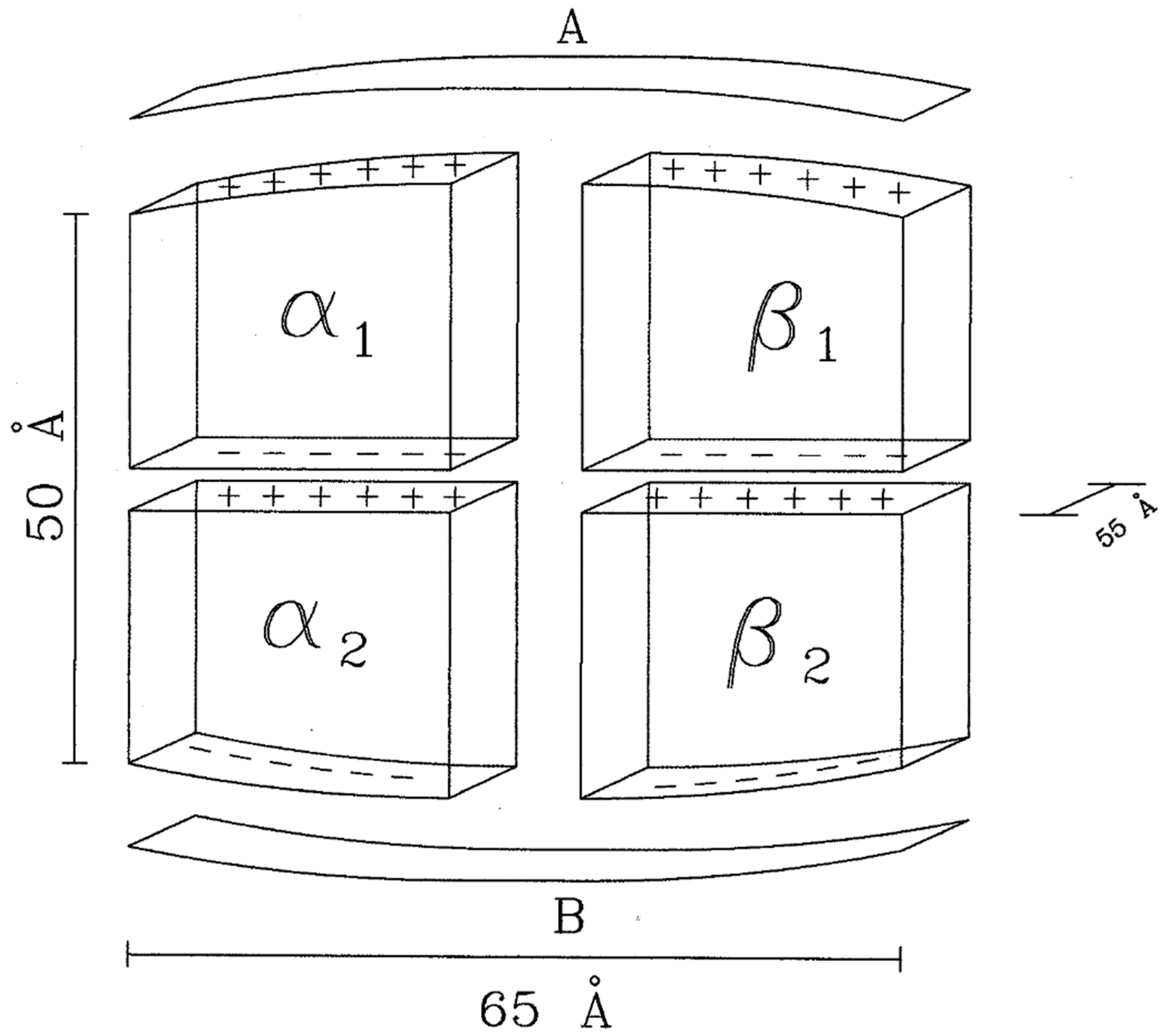 Fluids 04 00135 g001 Fluids 04 00135 g001