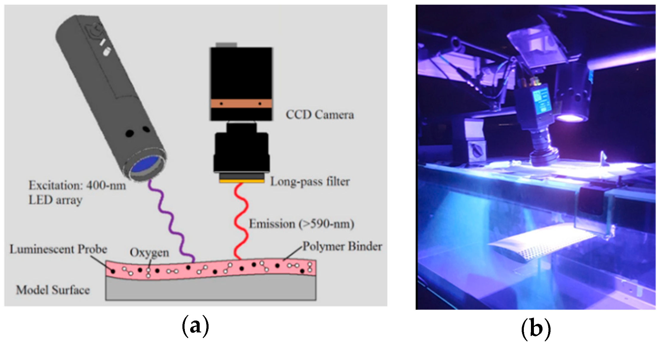 Fluids 04 00184 g004