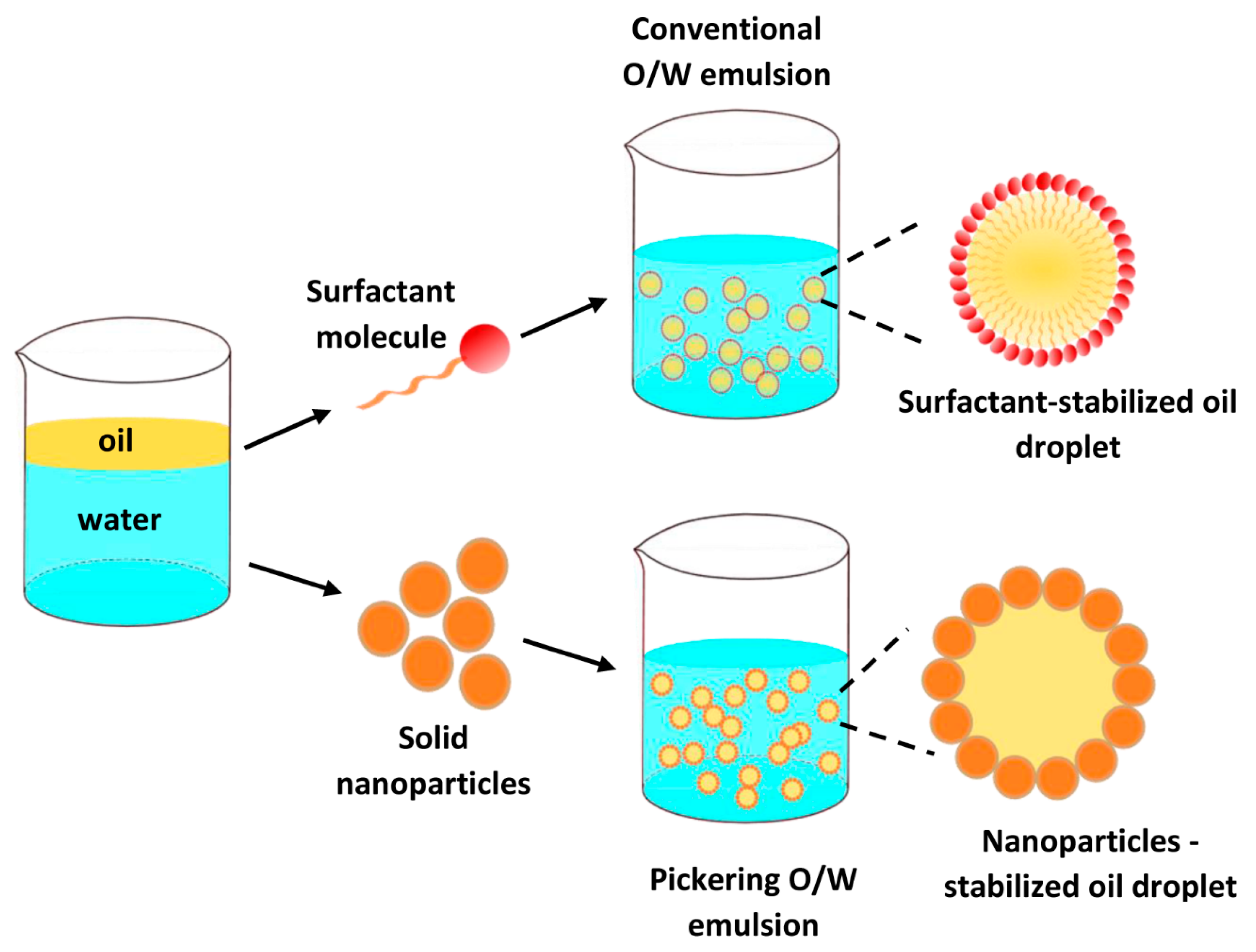 cnf pickering emulsion modeling cnf pickering emulsion modeling