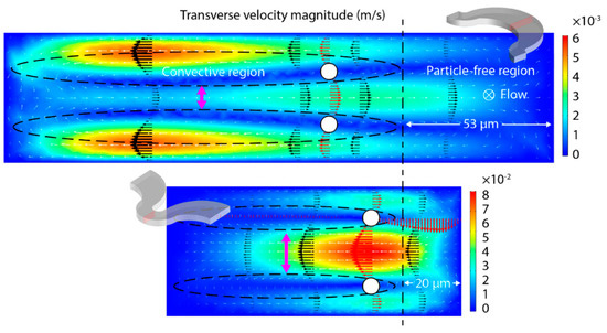 Study of Local Inertial Focusing Conditions for Spherical Particles in ...