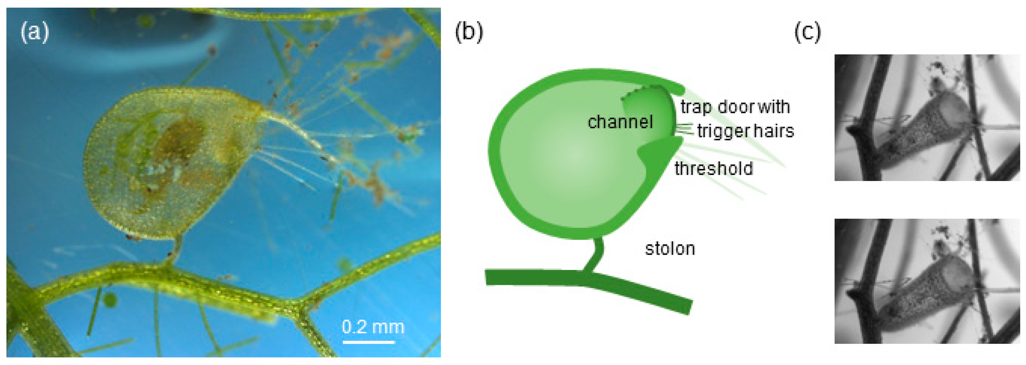 Fluids 05 00033 g001 Fluids 05 00033 g001