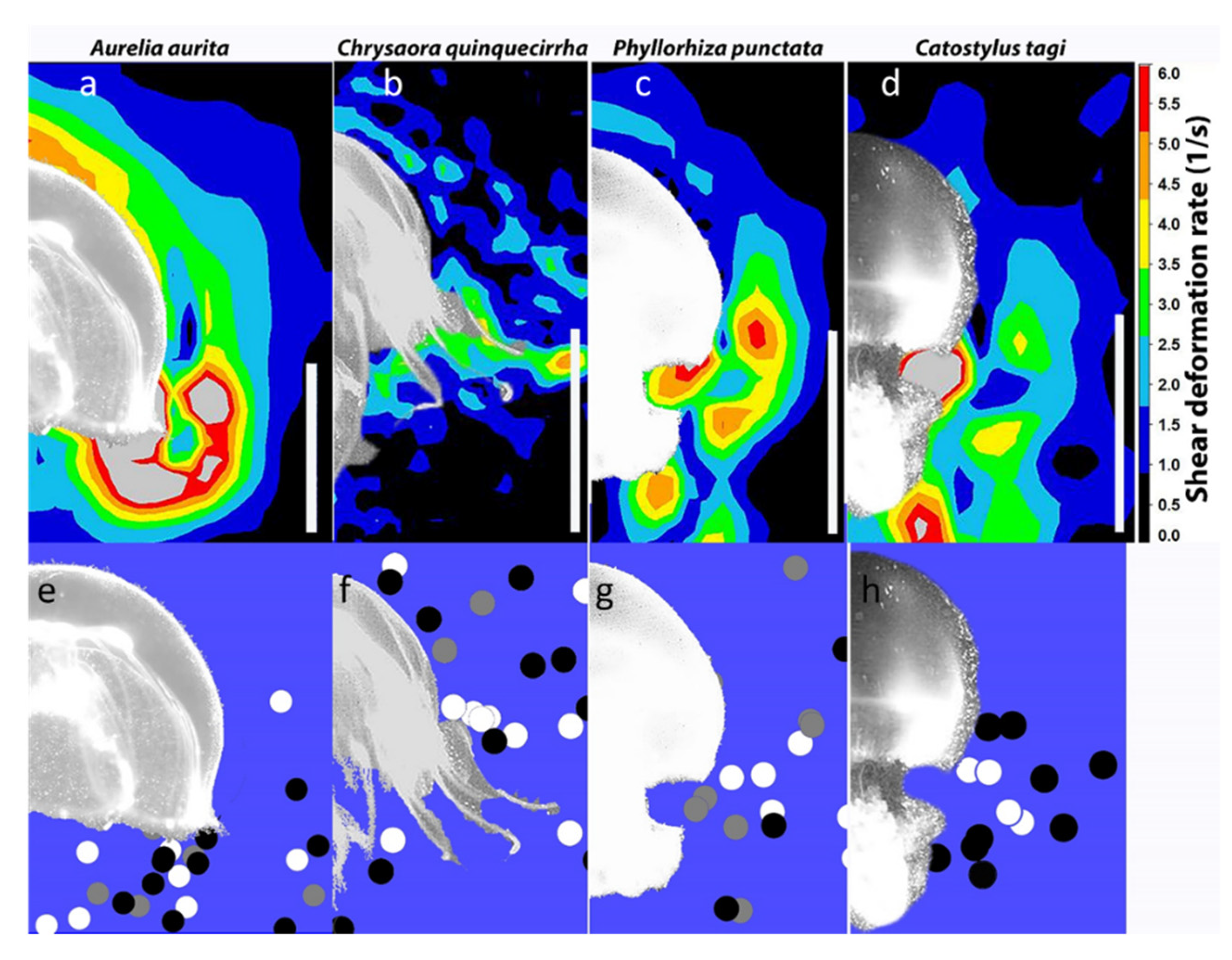 Fluids 05 00060 g002 Fluids 05 00060 g002
